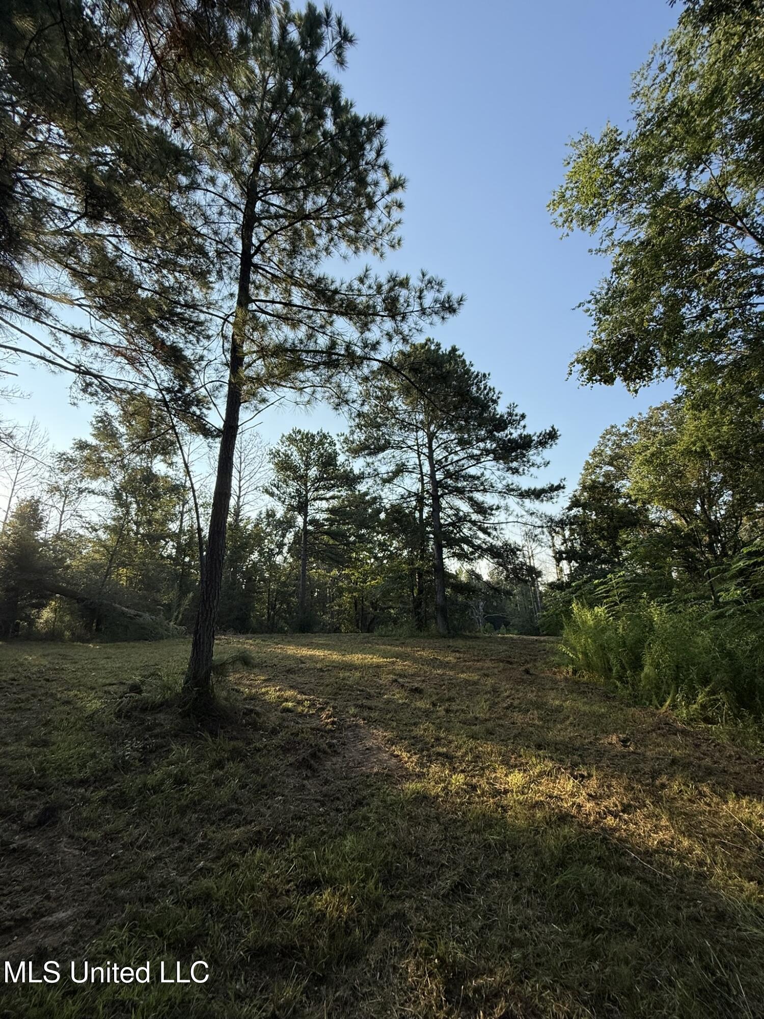 Sumrall Road Property Photo 9