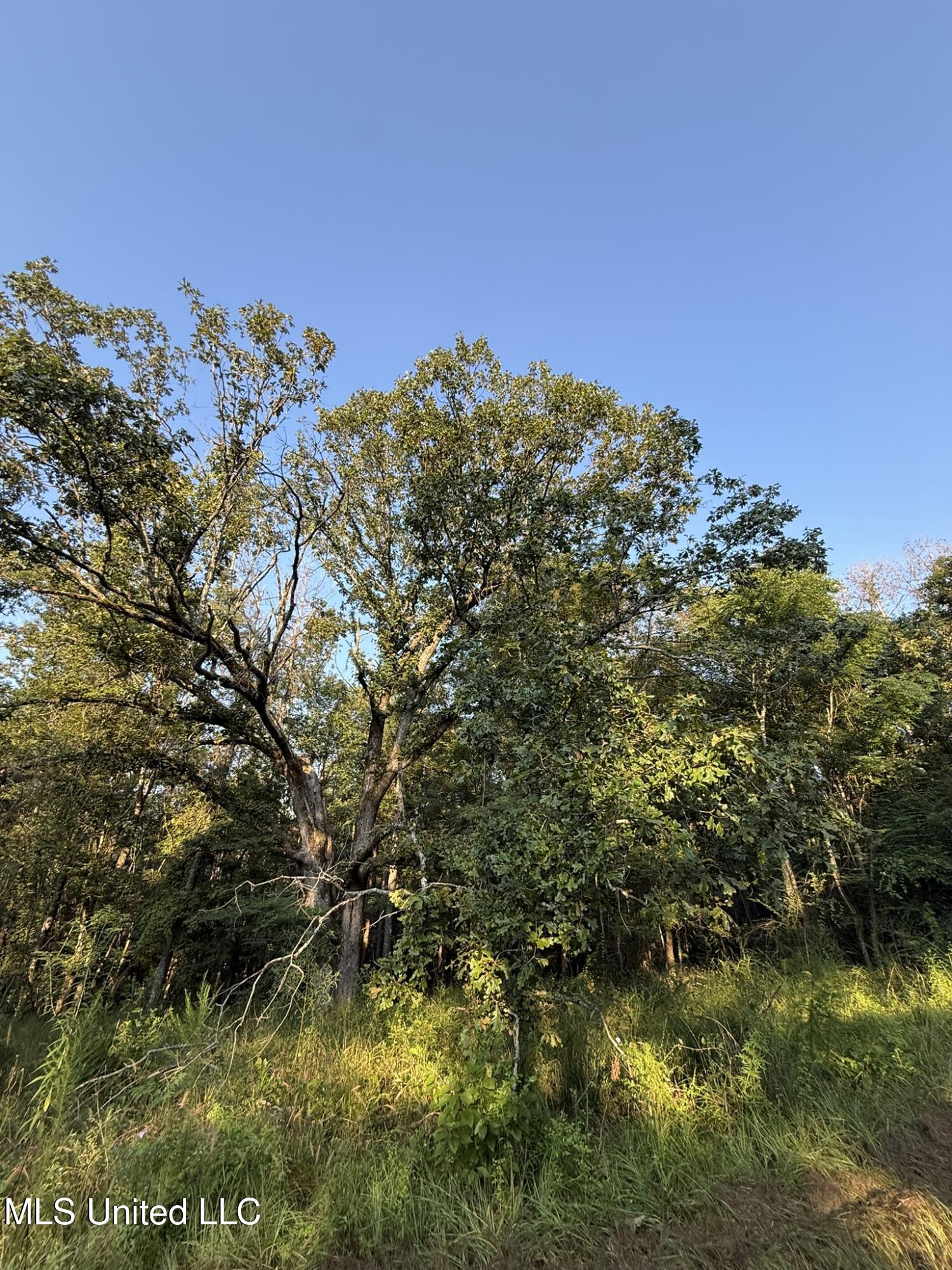 Sumrall Road Property Photo 10