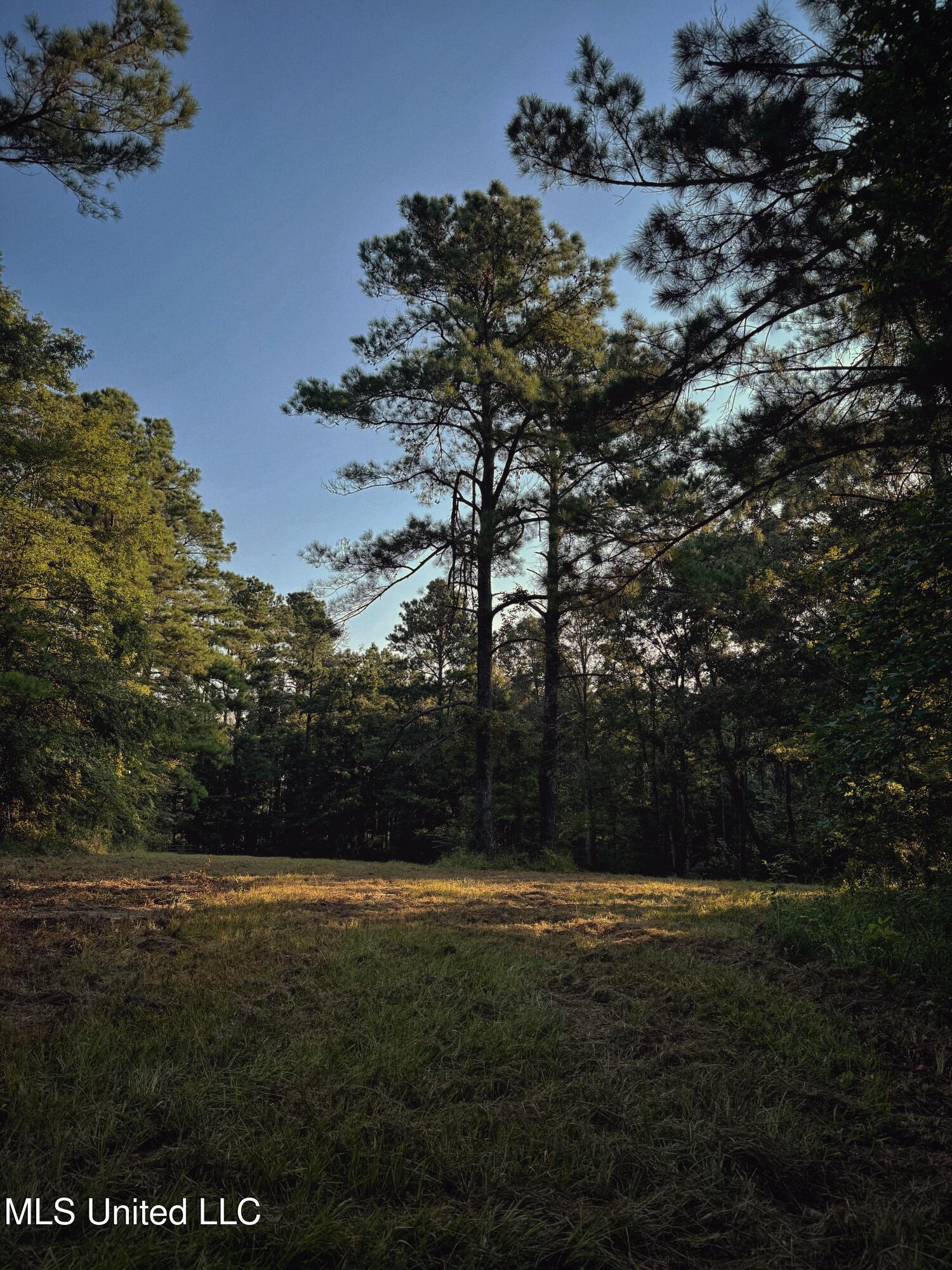 Sumrall Road Property Photo 12