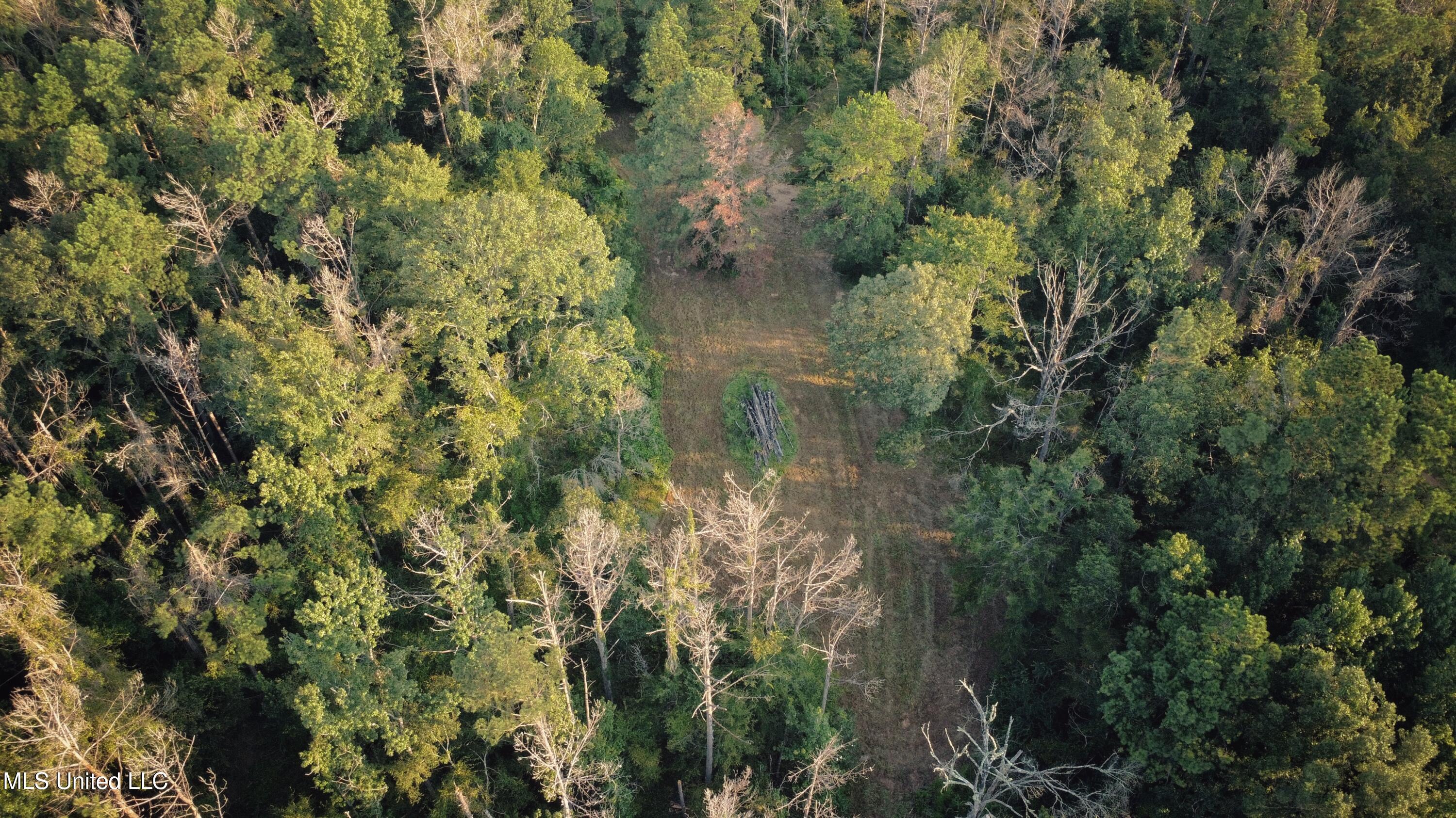 Sumrall Road Property Photo 13