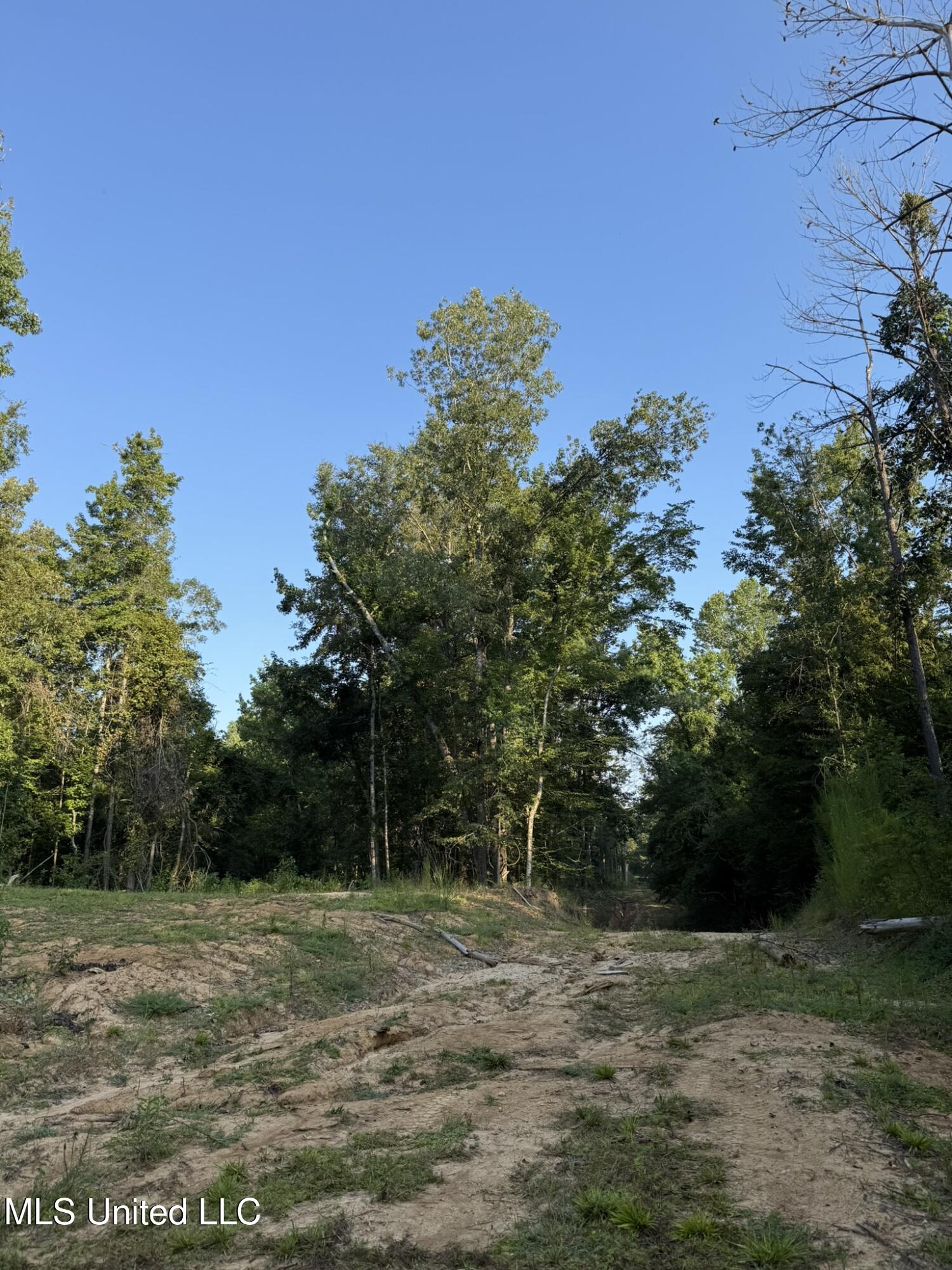 Sumrall Road Property Photo 12