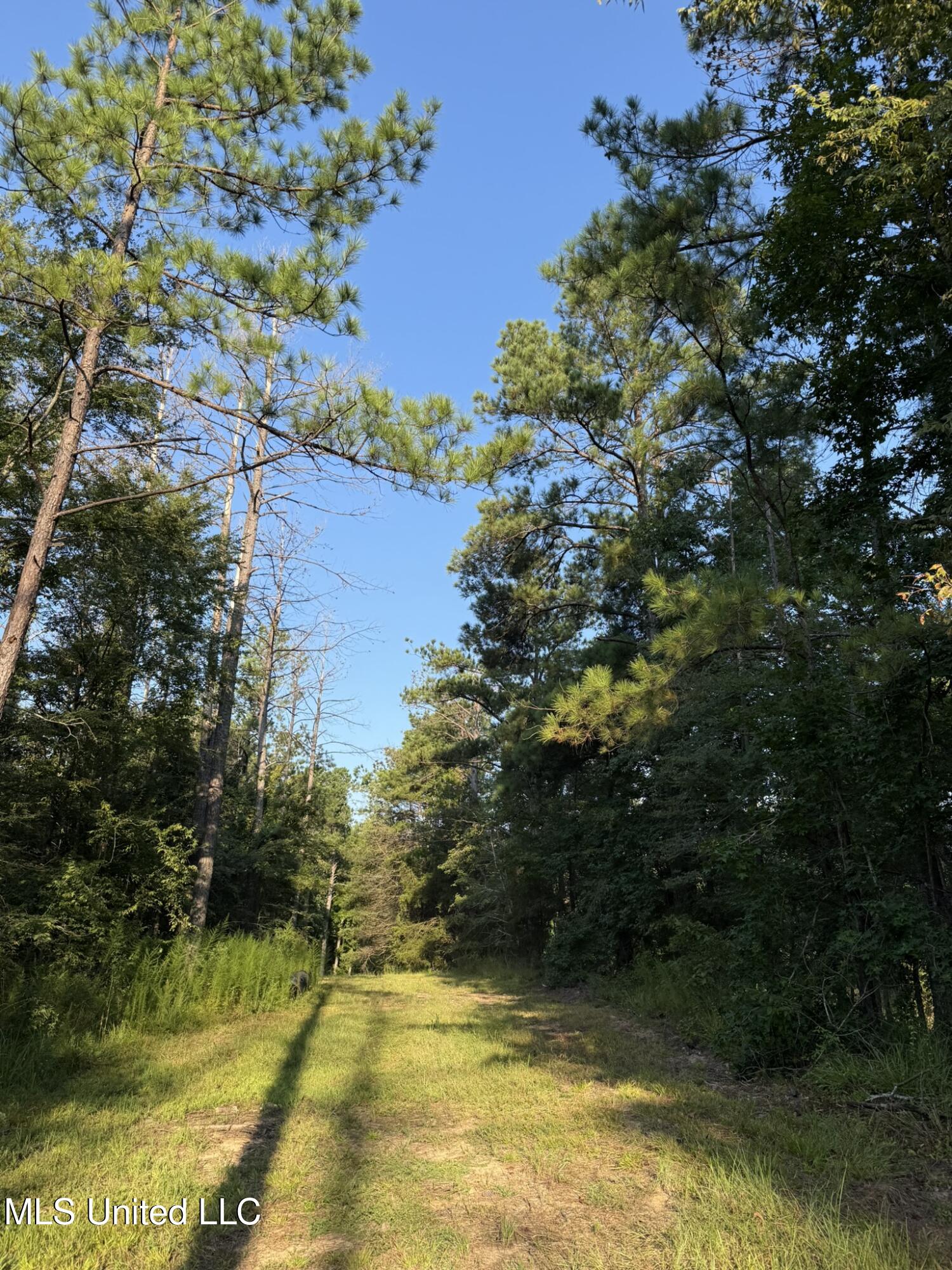 Sumrall Road Property Photo 9