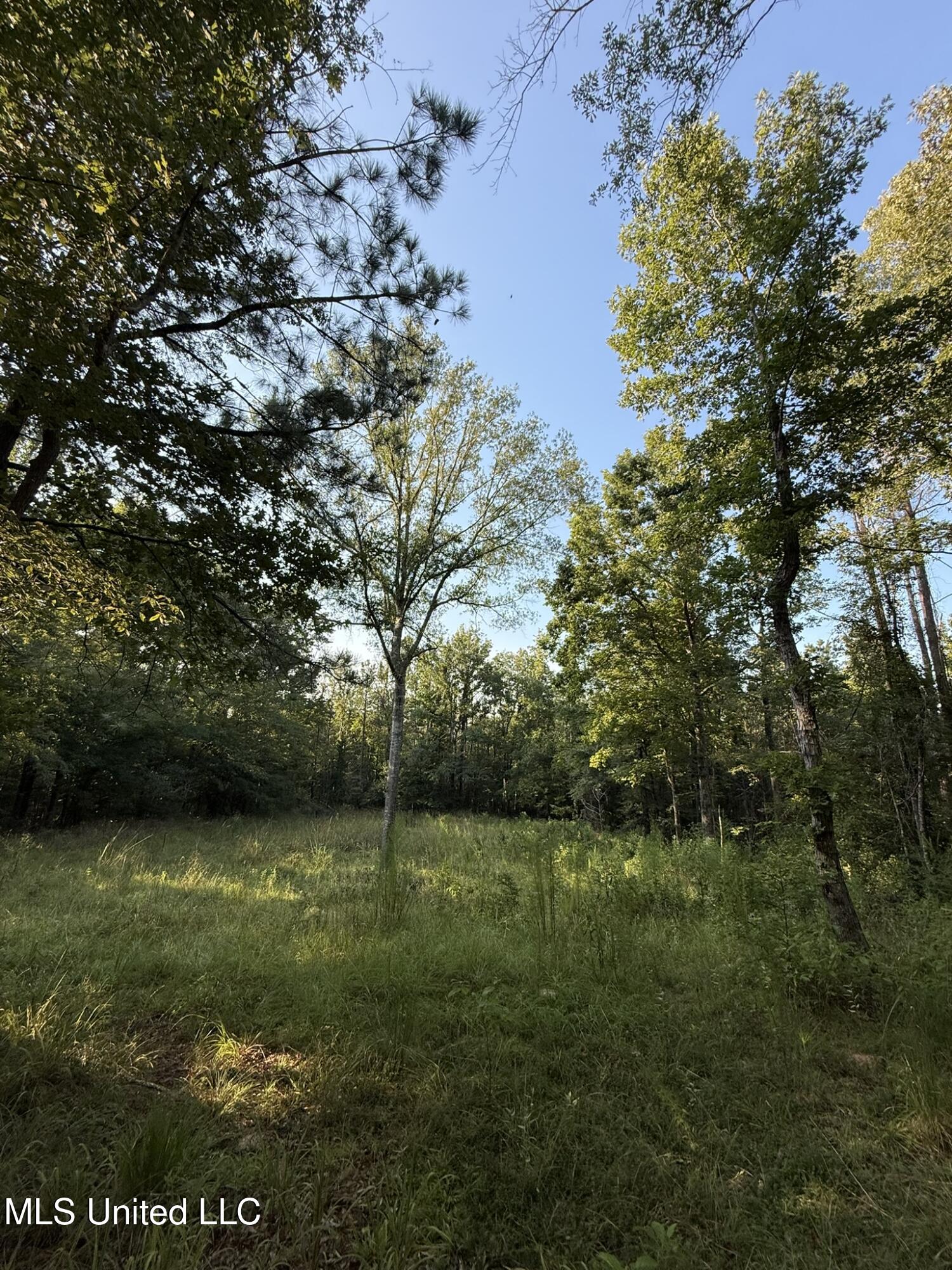Sumrall Road Property Photo 11