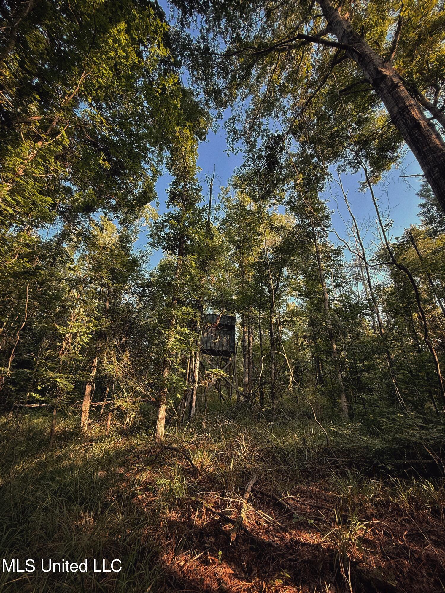 Sumrall Road Property Photo 15