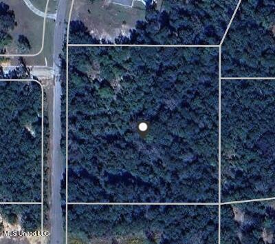 River Bluffs Lot 33 Drive Property Photo 2