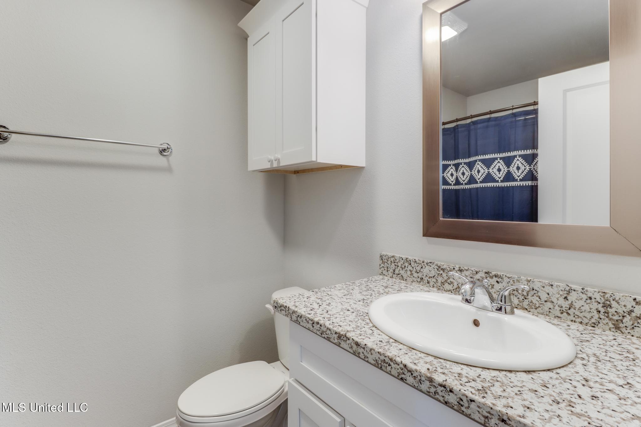 14799 Audubon Lake Boulevard Property Photo 12