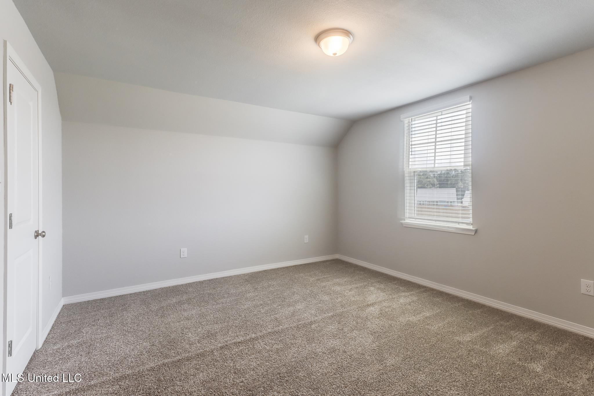 14799 Audubon Lake Boulevard Property Photo 16