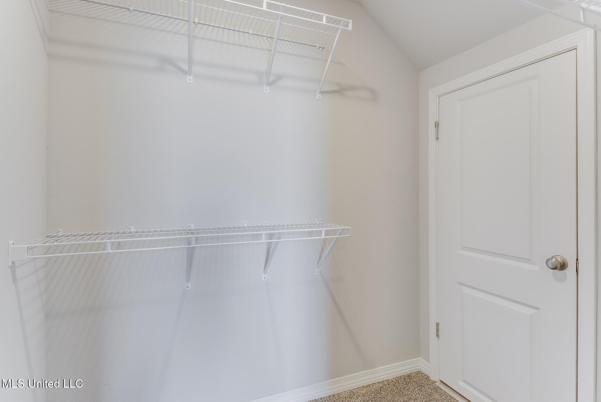 14799 Audubon Lake Boulevard Property Photo 18