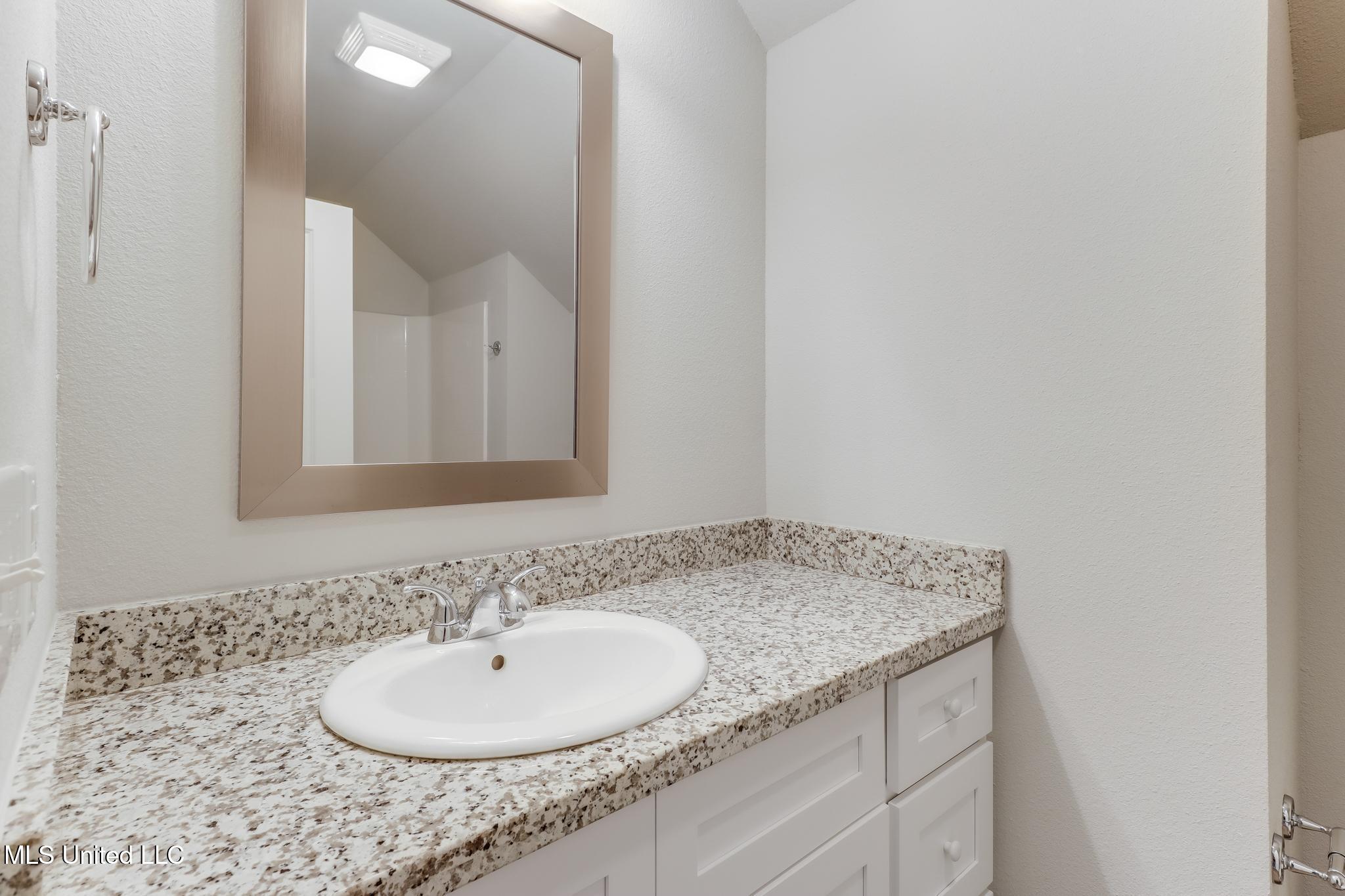 14799 Audubon Lake Boulevard Property Photo 19