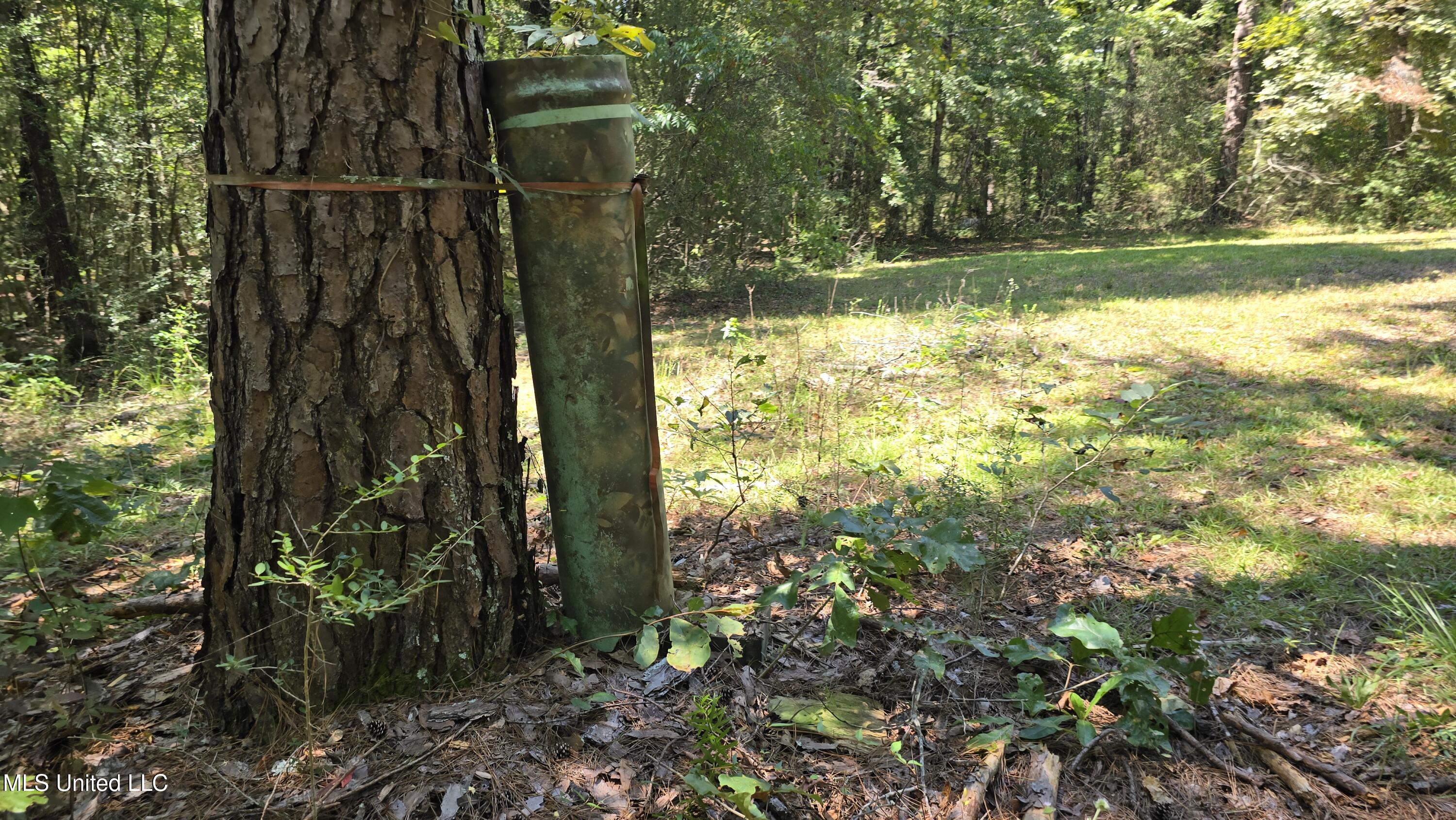 101 Pearl Hodge Road Property Photo 33