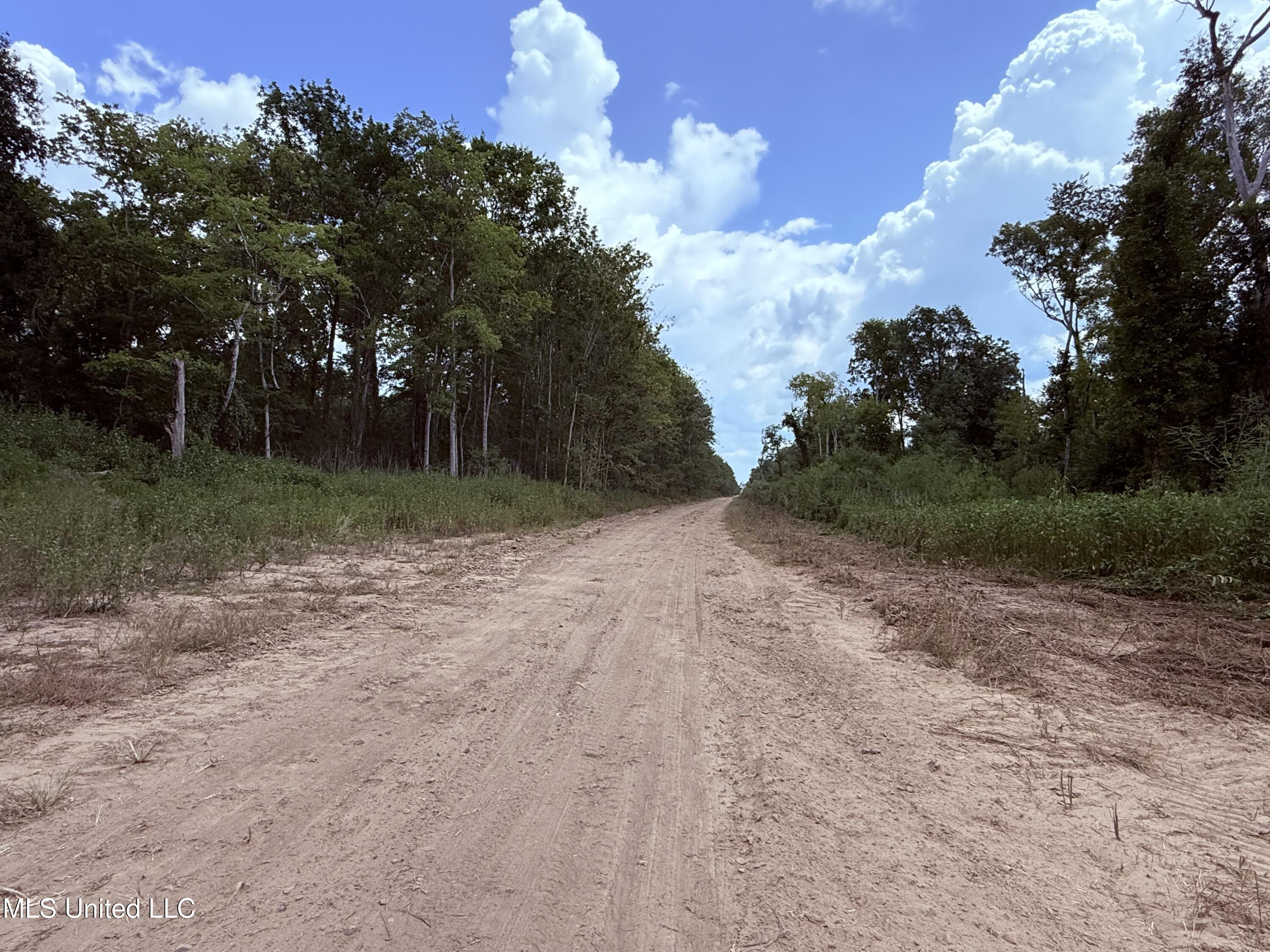 Old Hwy 190 Road Property Photo 15