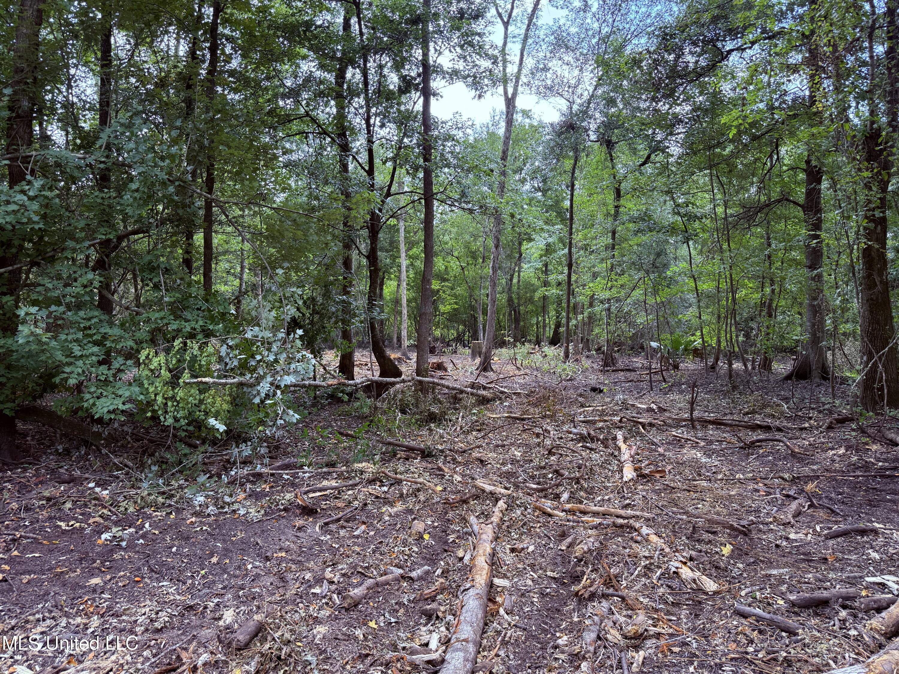 Old Hwy 190 Road Property Photo 19