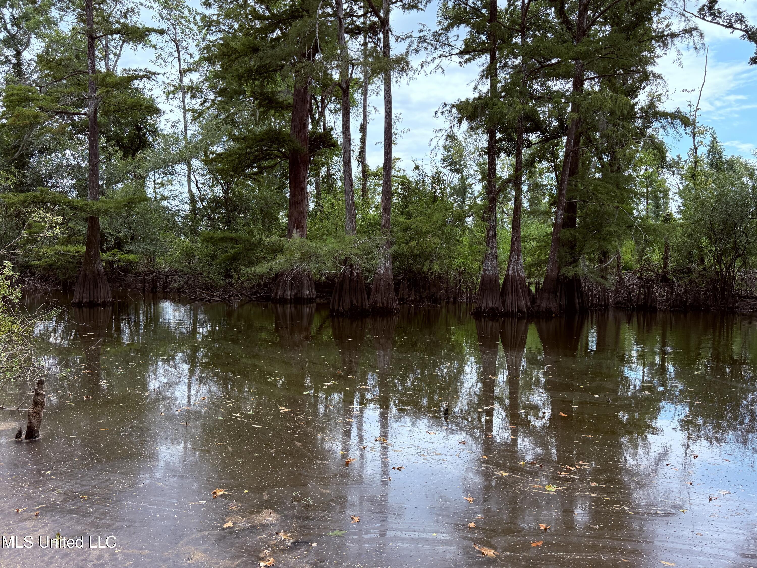 Old Hwy 190 Road Property Photo 33