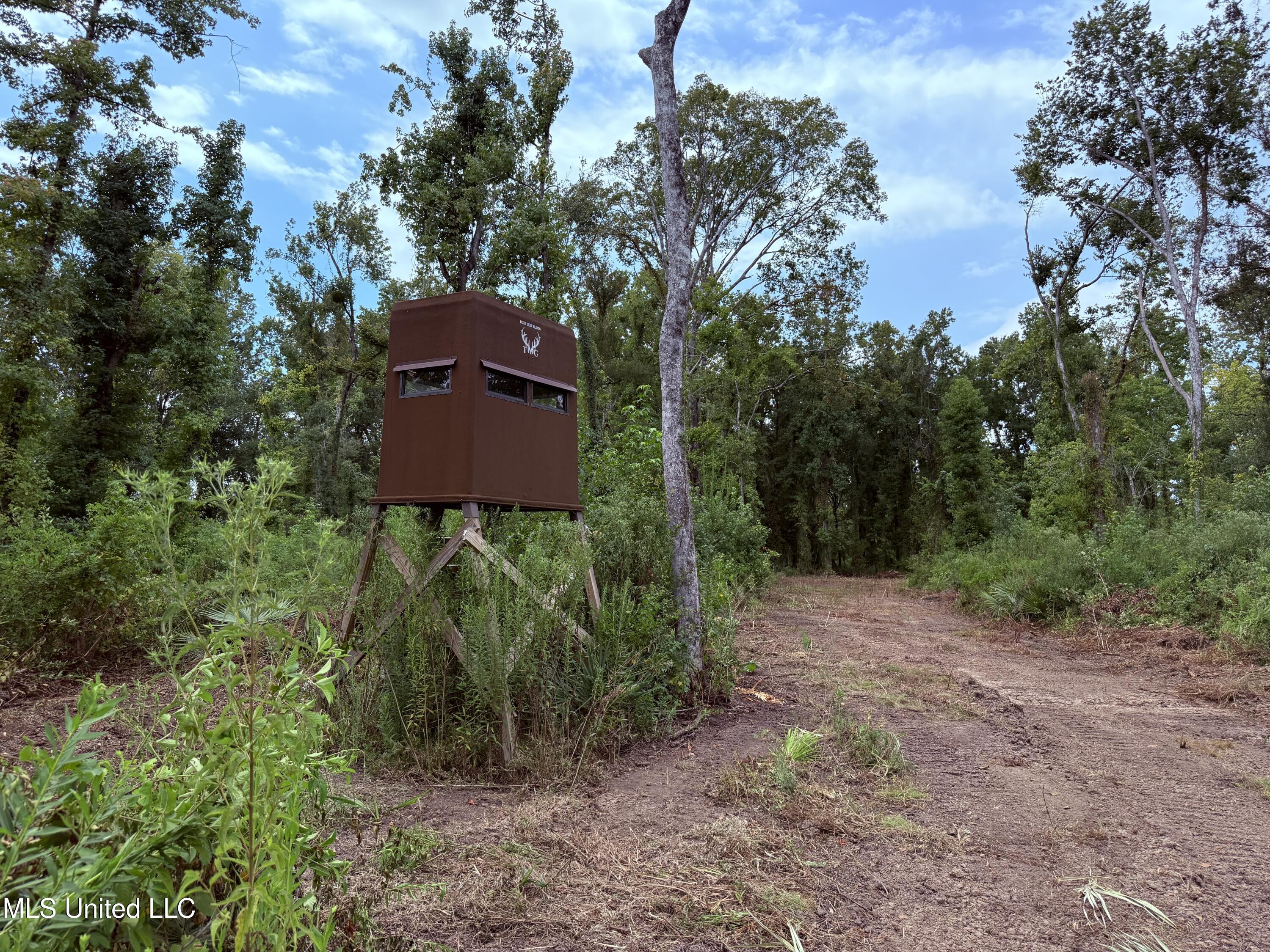 Old Hwy 190 Road Property Photo 37