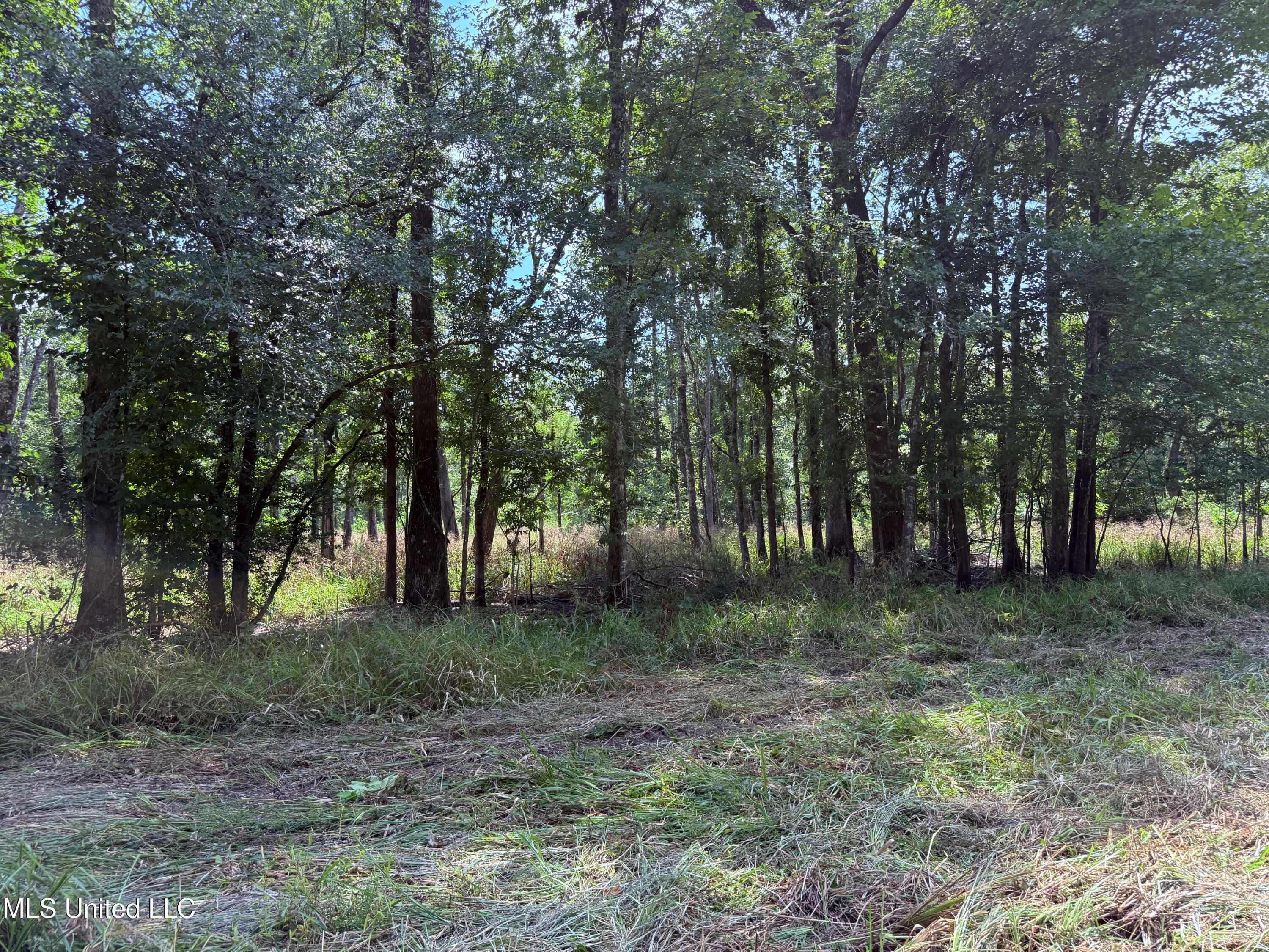 Old Hwy 190 Road Property Photo 43
