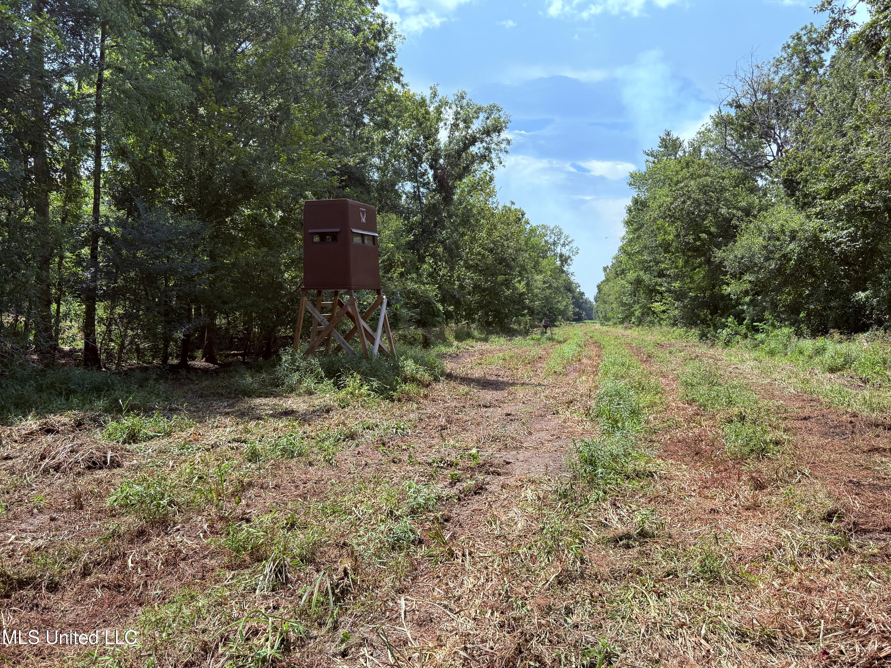 Old Hwy 190 Road Property Photo 44