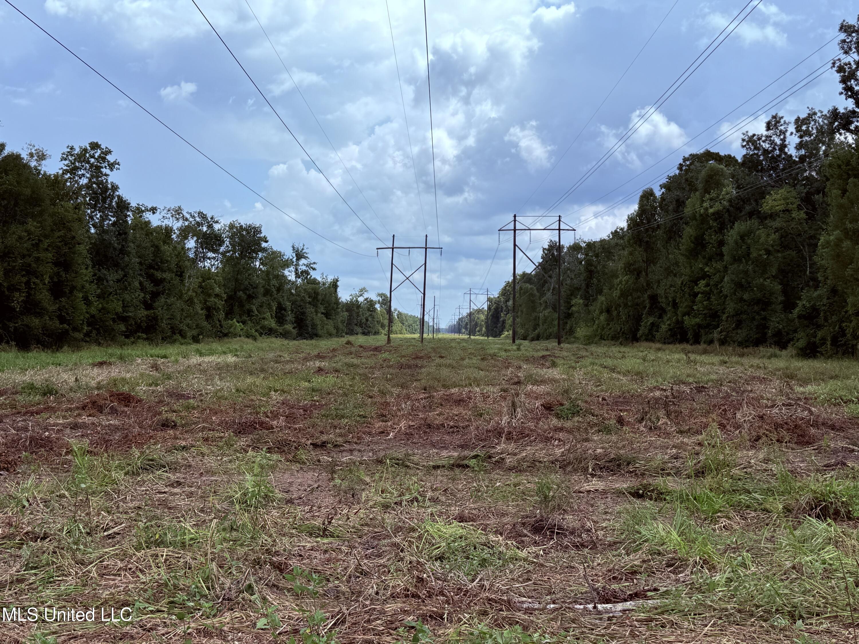 Old Hwy 190 Road Property Photo 45