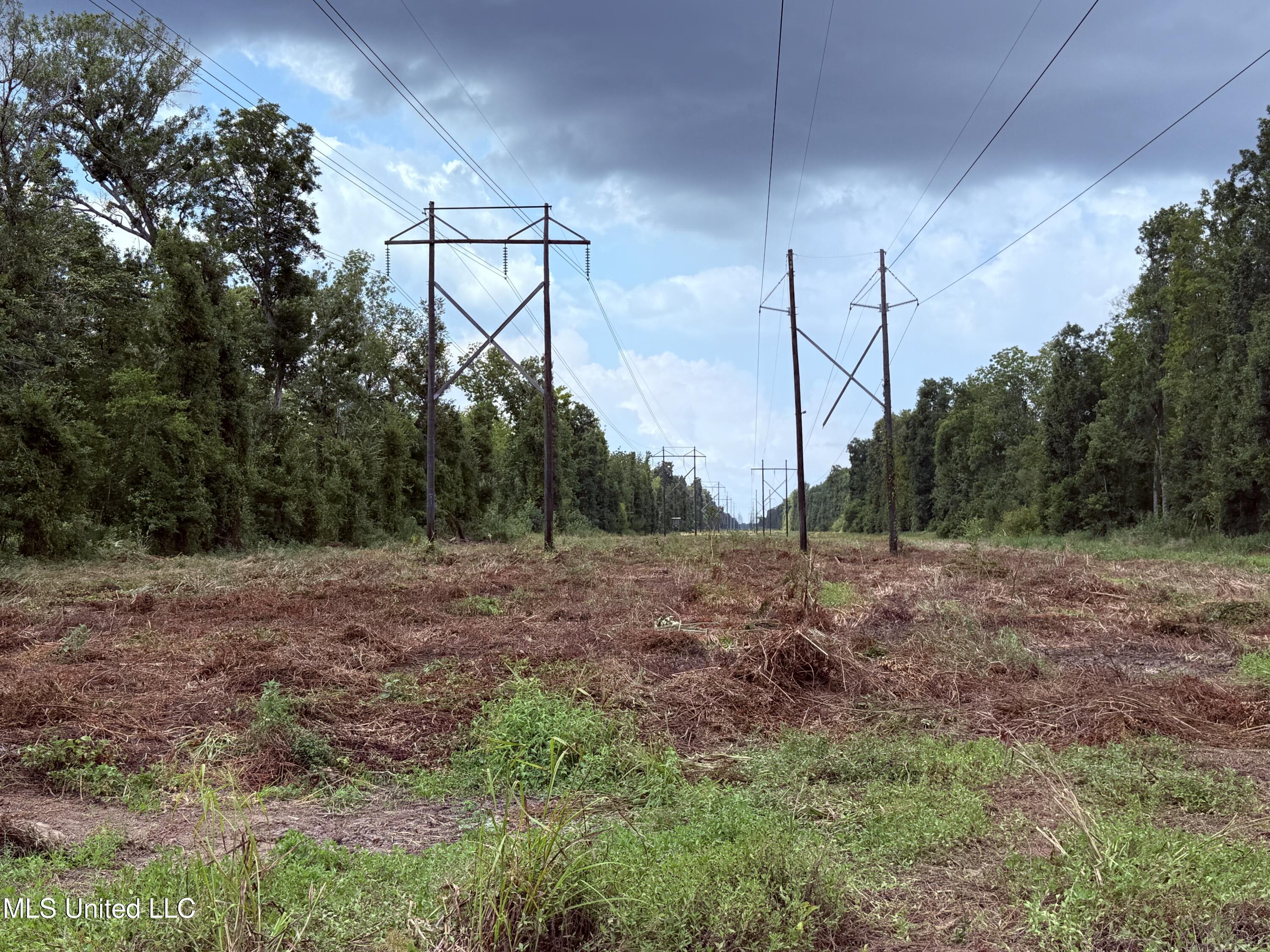 Old Hwy 190 Road Property Photo 46