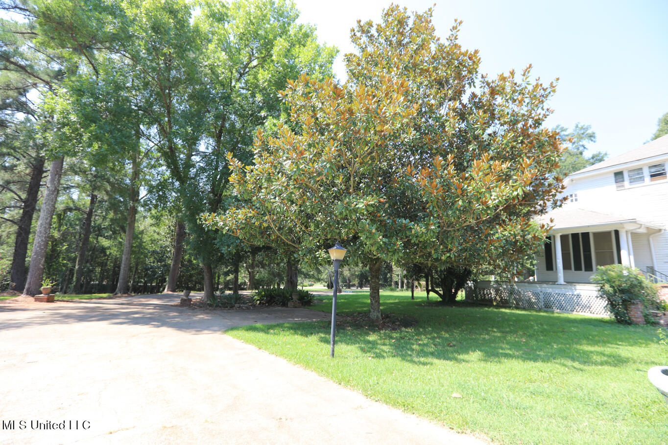 3141 Highway 43 N Property Photo 11