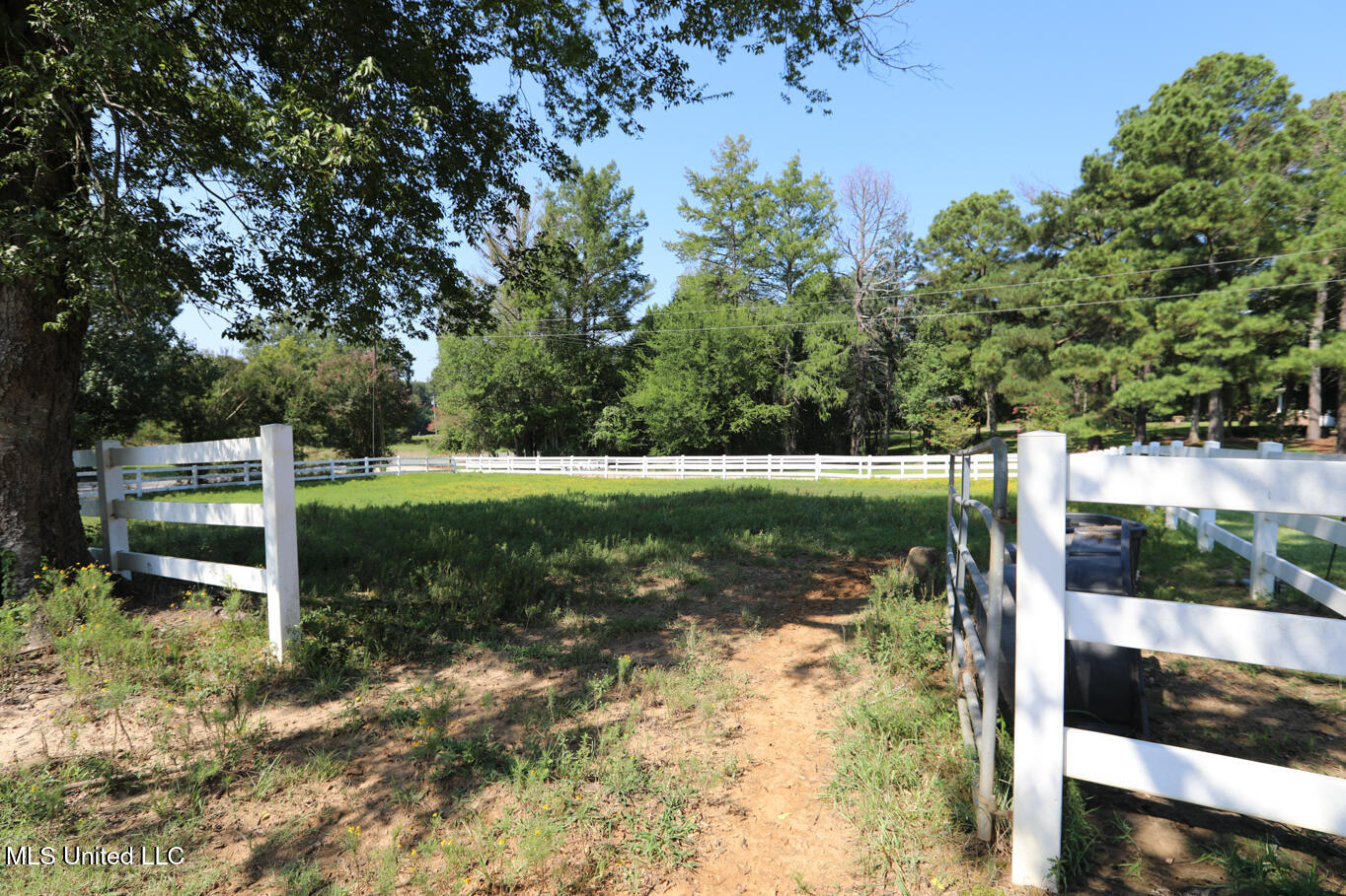 3141 Highway 43 N Property Photo 18