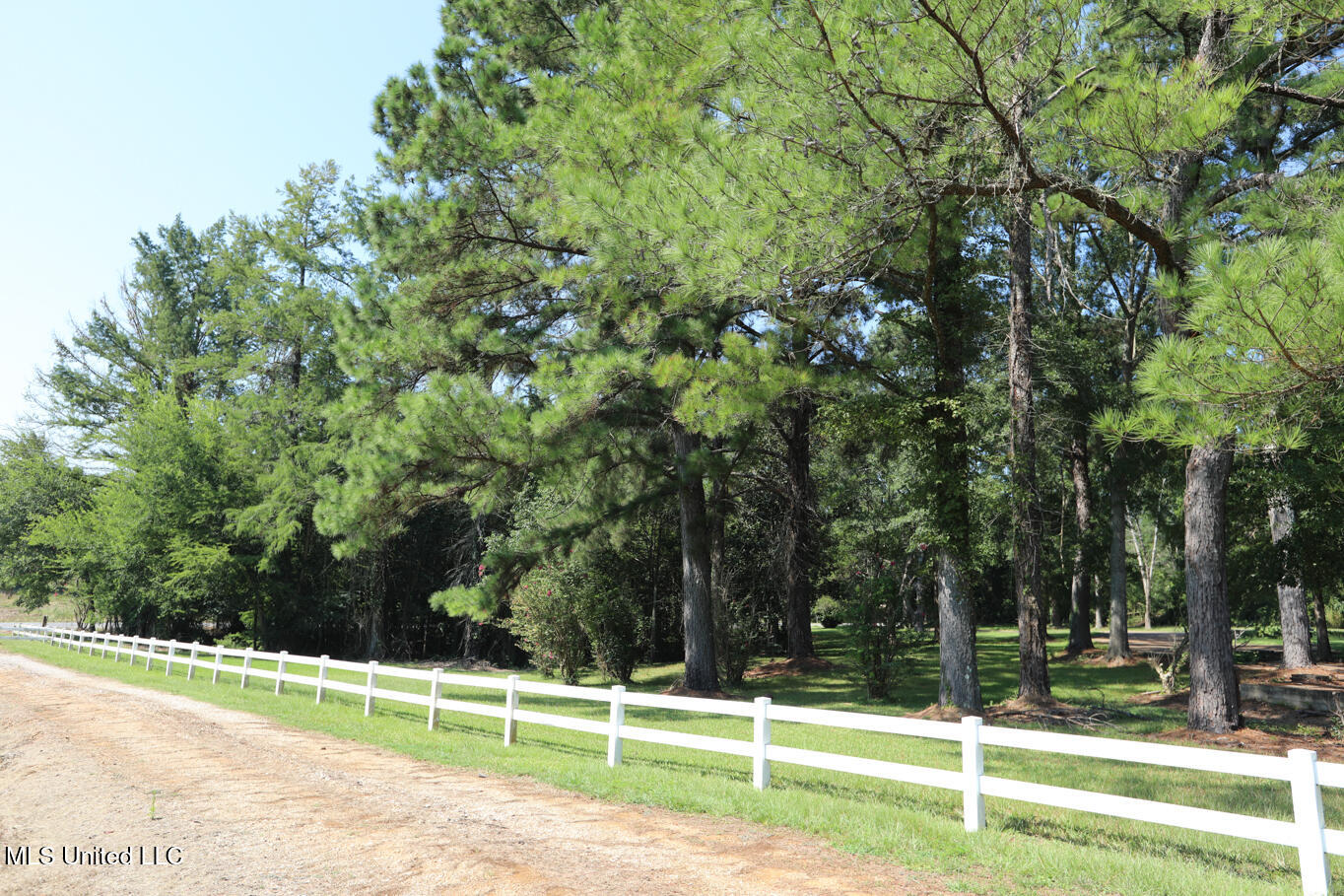3141 Highway 43 N Property Photo 19