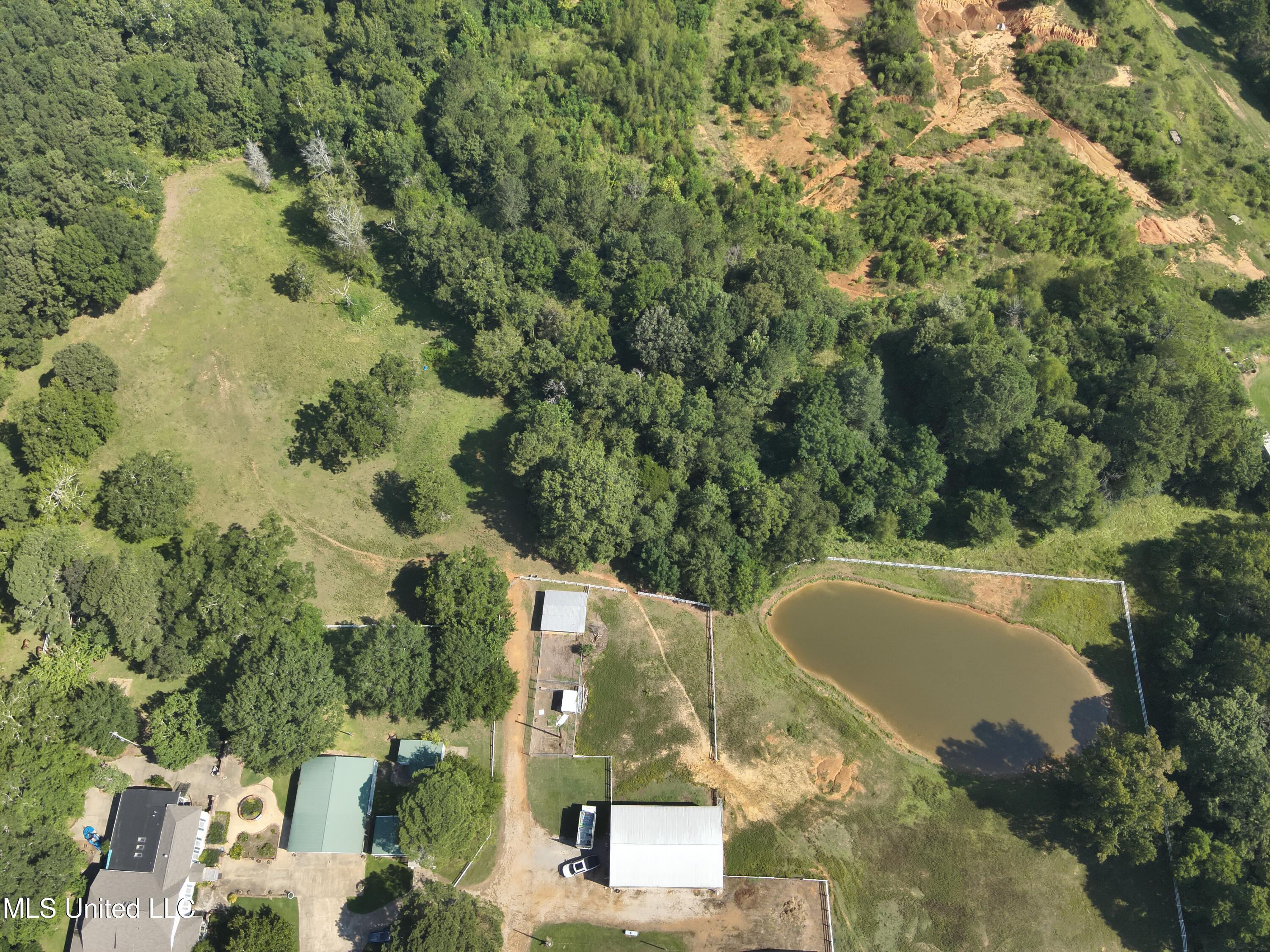 3141 Highway 43 N Property Photo 23