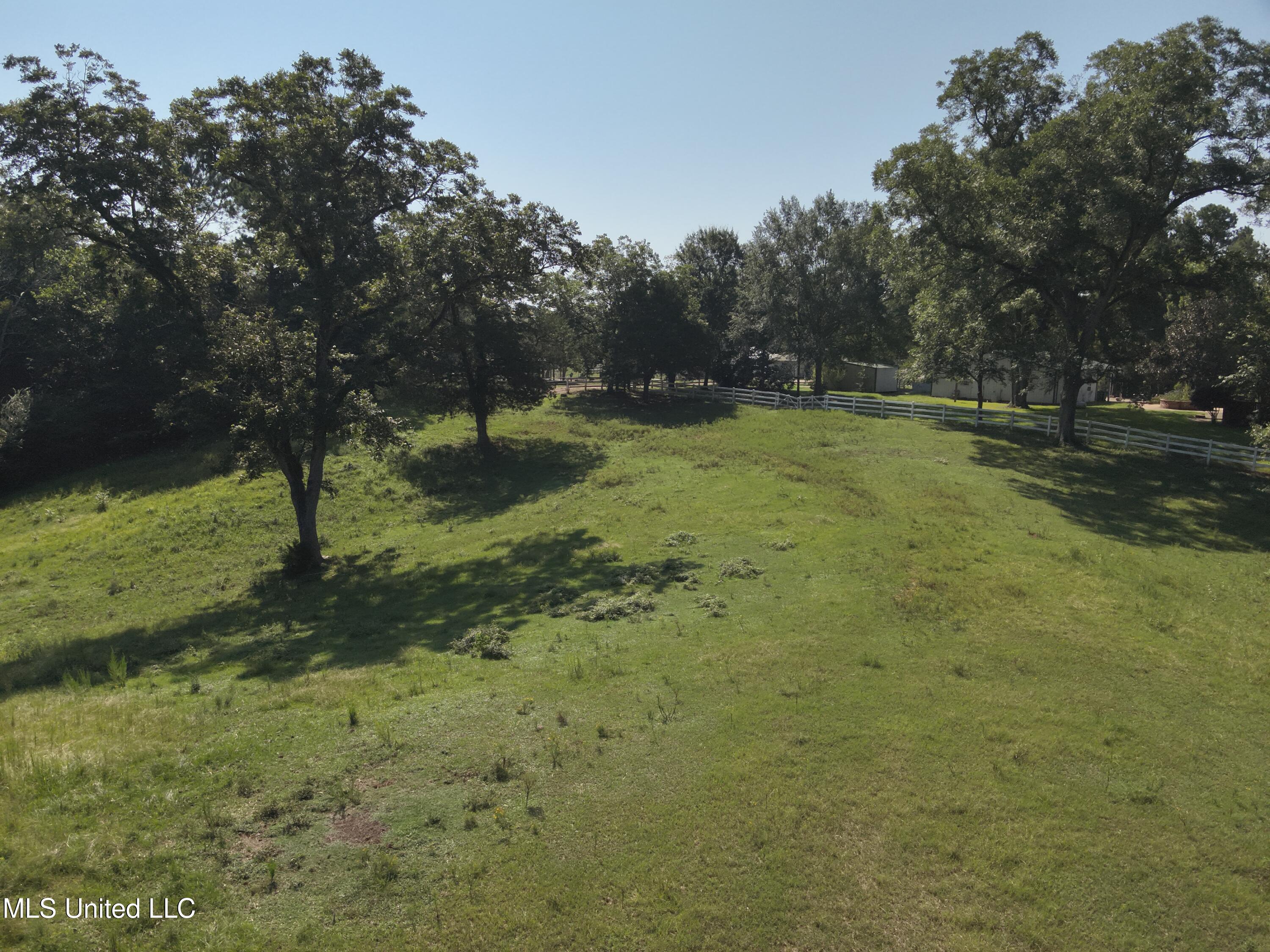 3141 Highway 43 N Property Photo 24