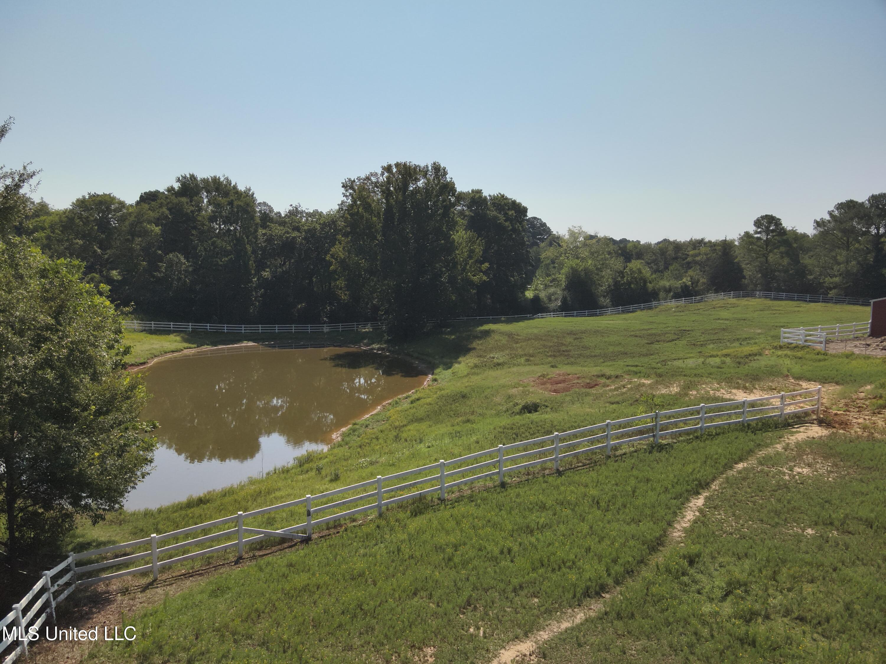 3141 Highway 43 N Property Photo 25