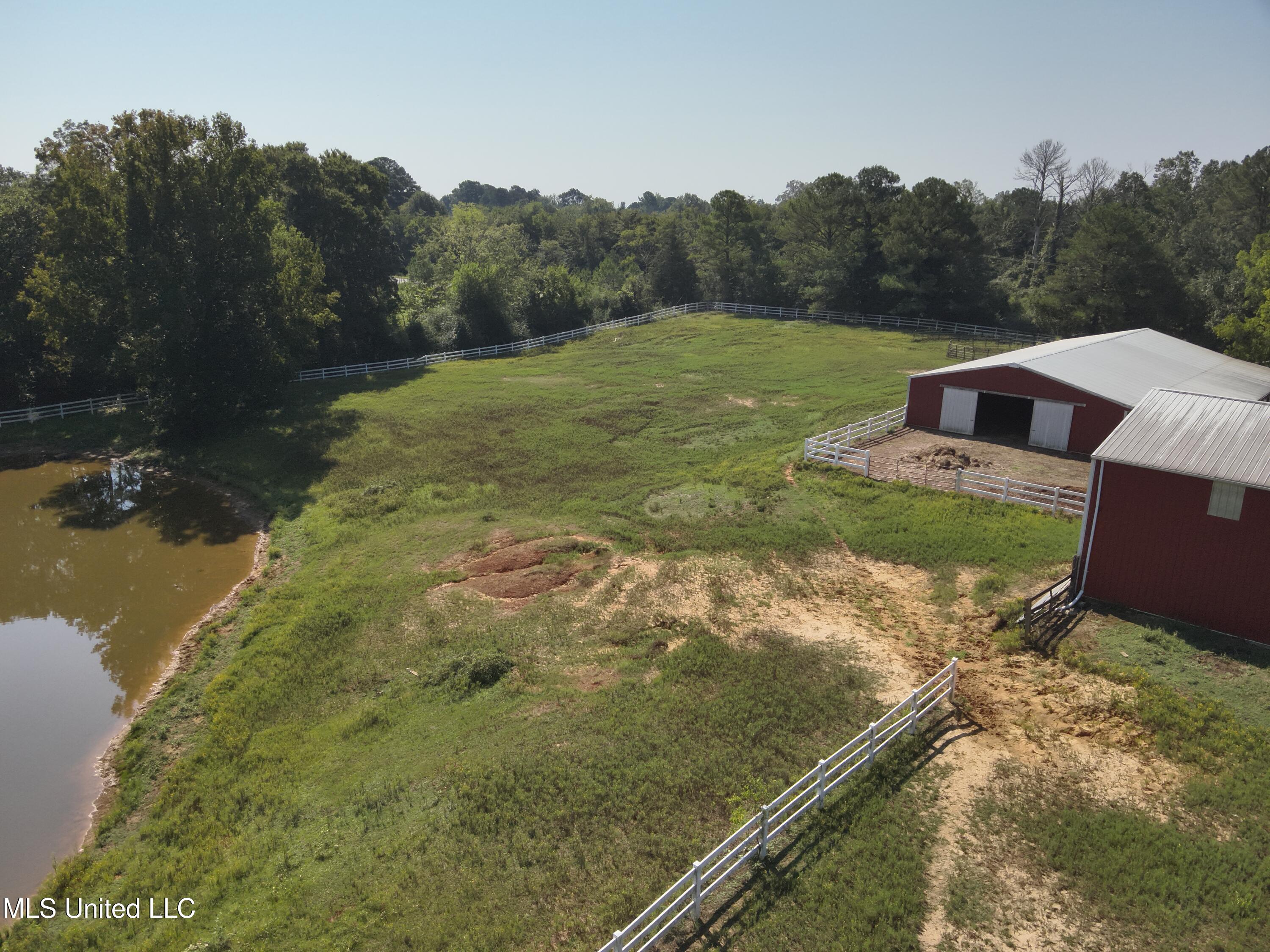 3141 Highway 43 N Property Photo 26