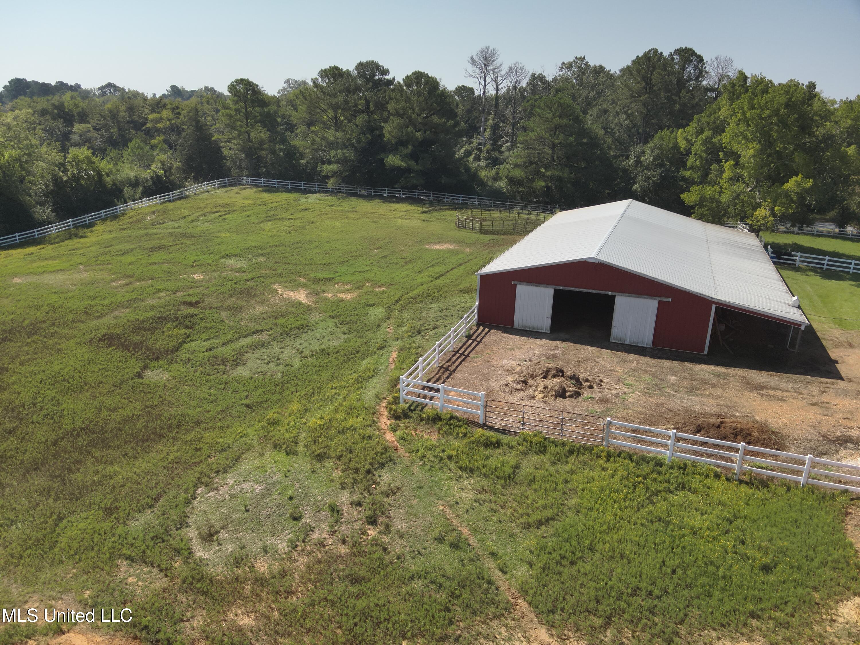 3141 Highway 43 N Property Photo 27