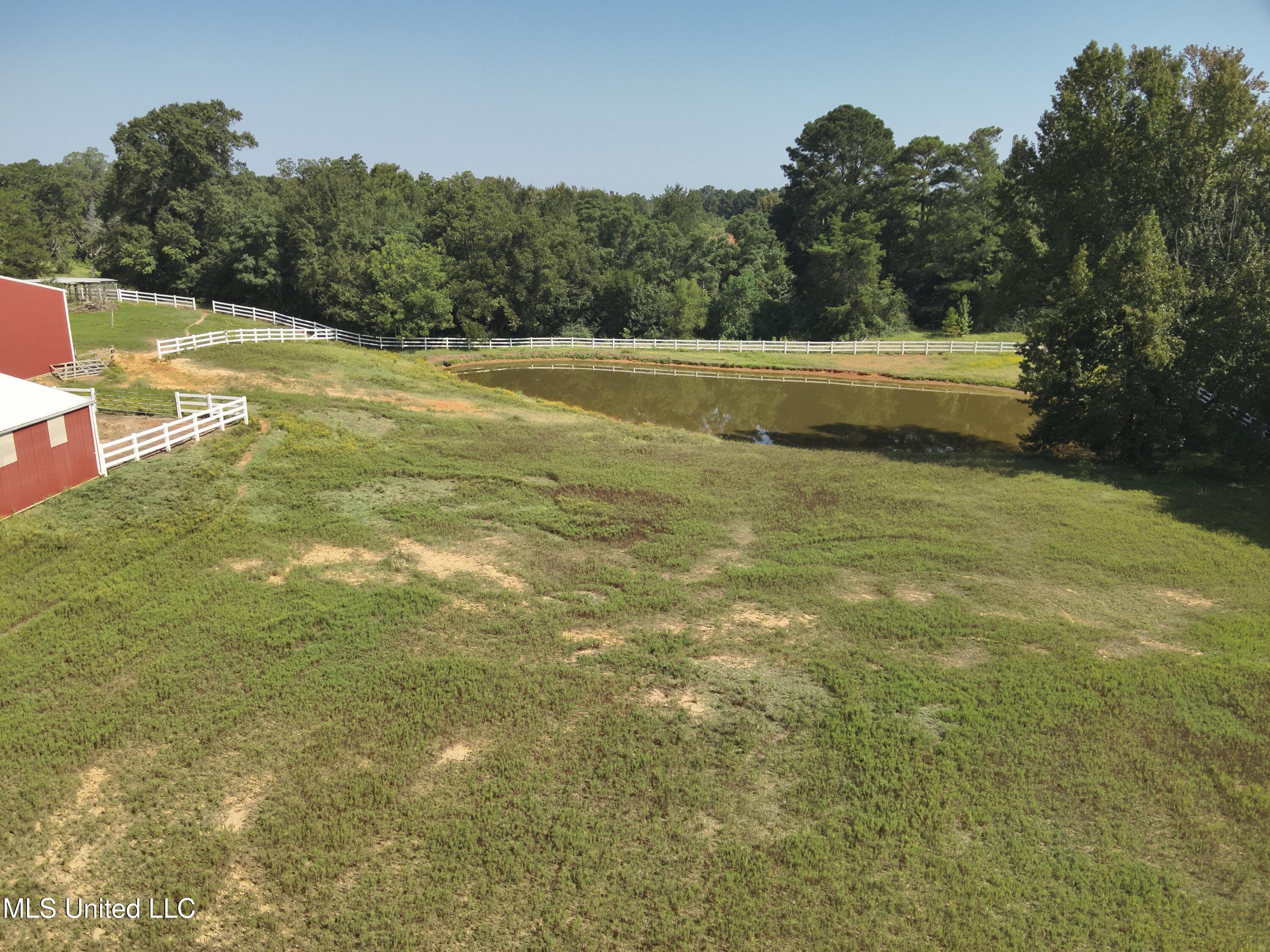 3141 Highway 43 N Property Photo 28