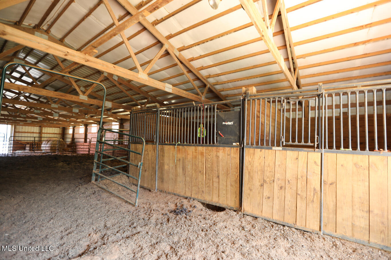 3141 Highway 43 N Property Photo 77