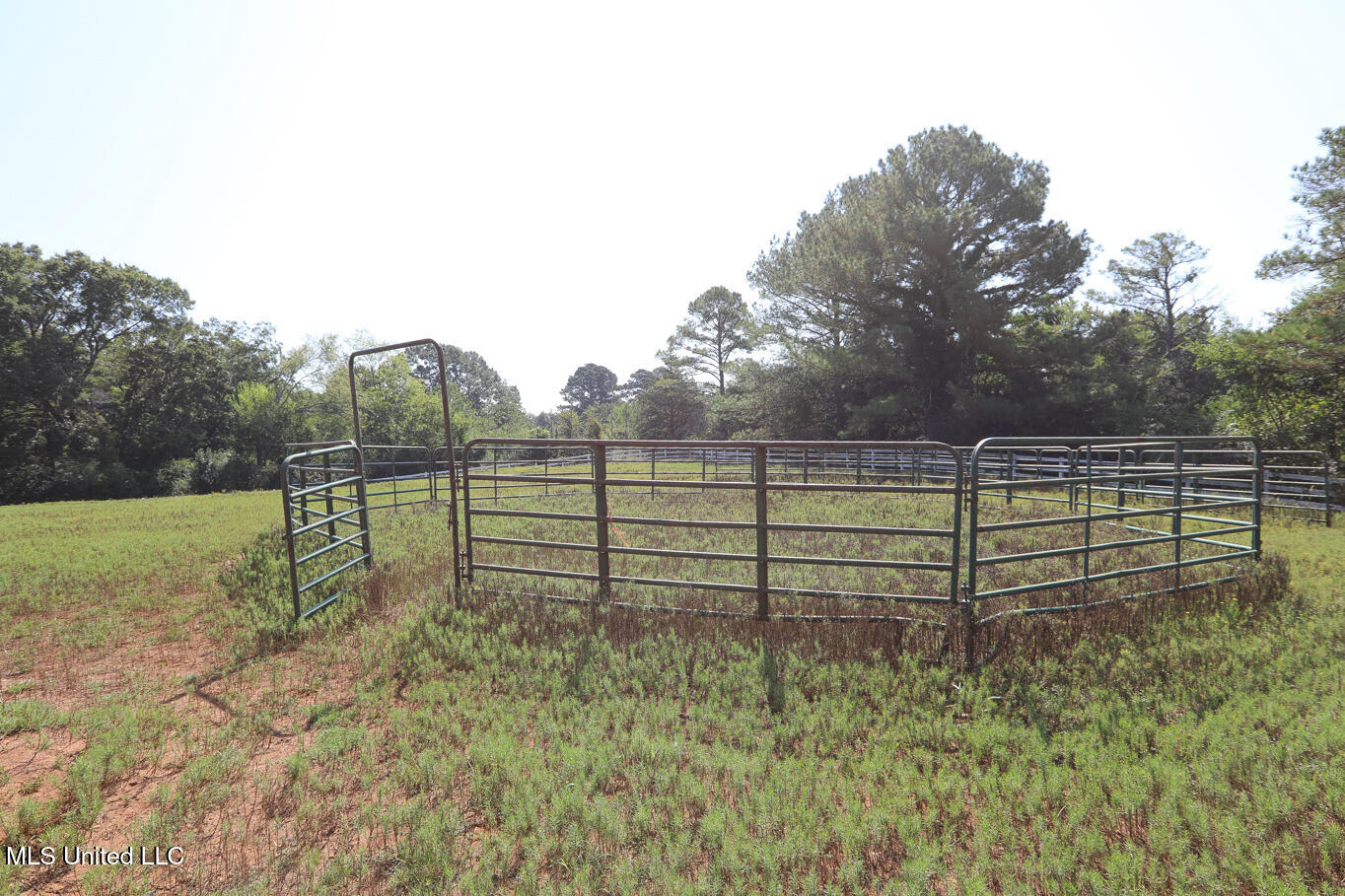3141 Highway 43 N Property Photo 82