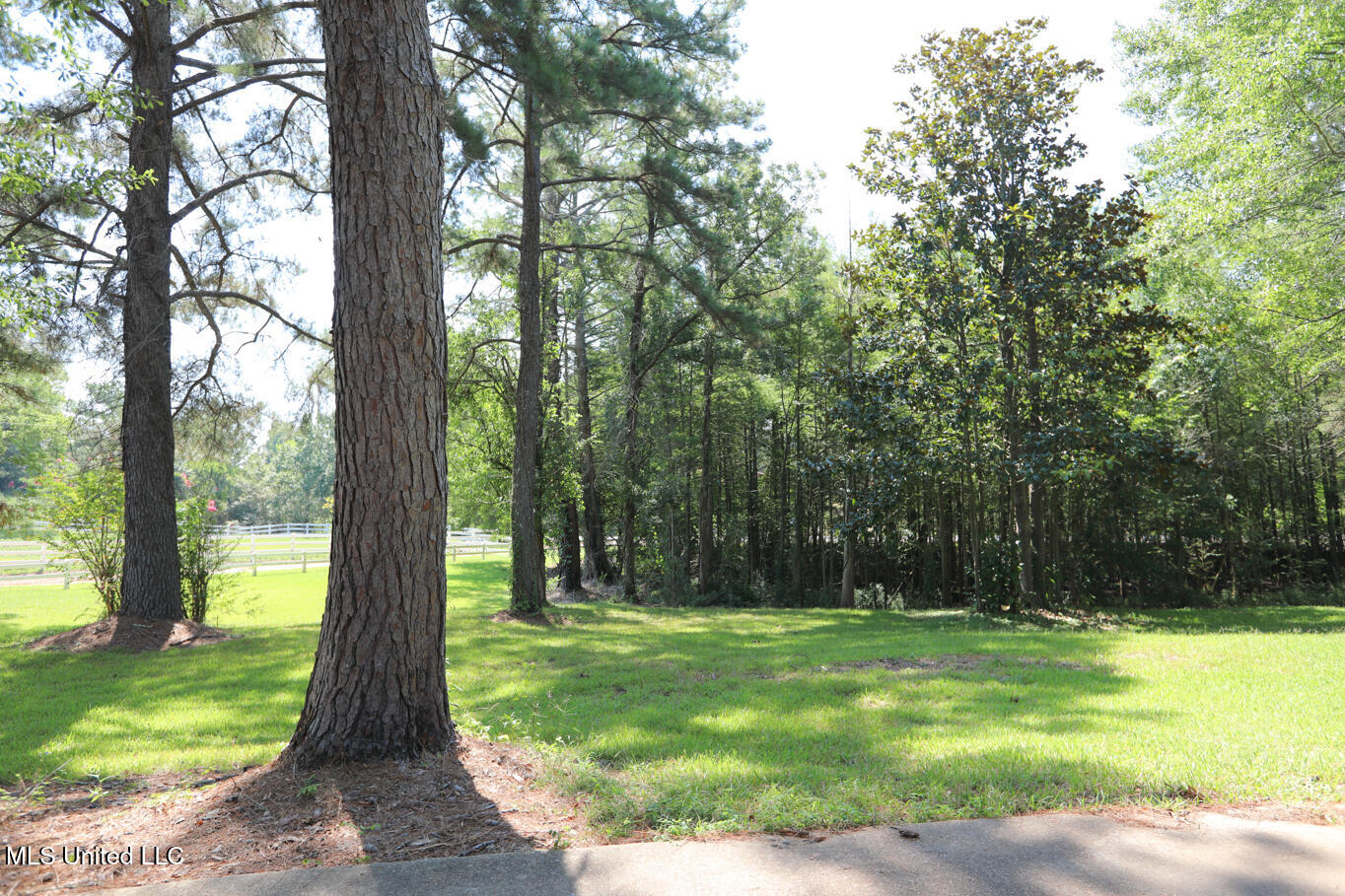 3141 Highway 43 N Property Photo 94