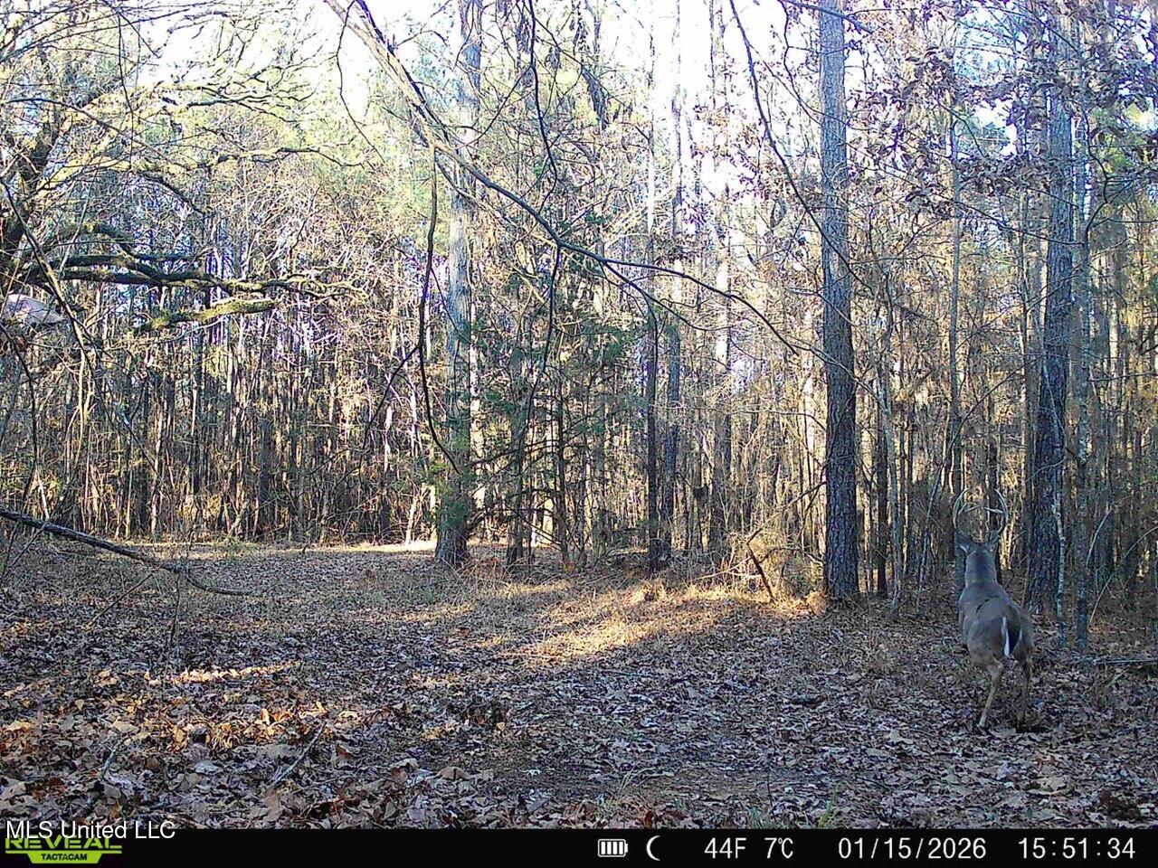 3141 Highway 43 N Property Photo 96
