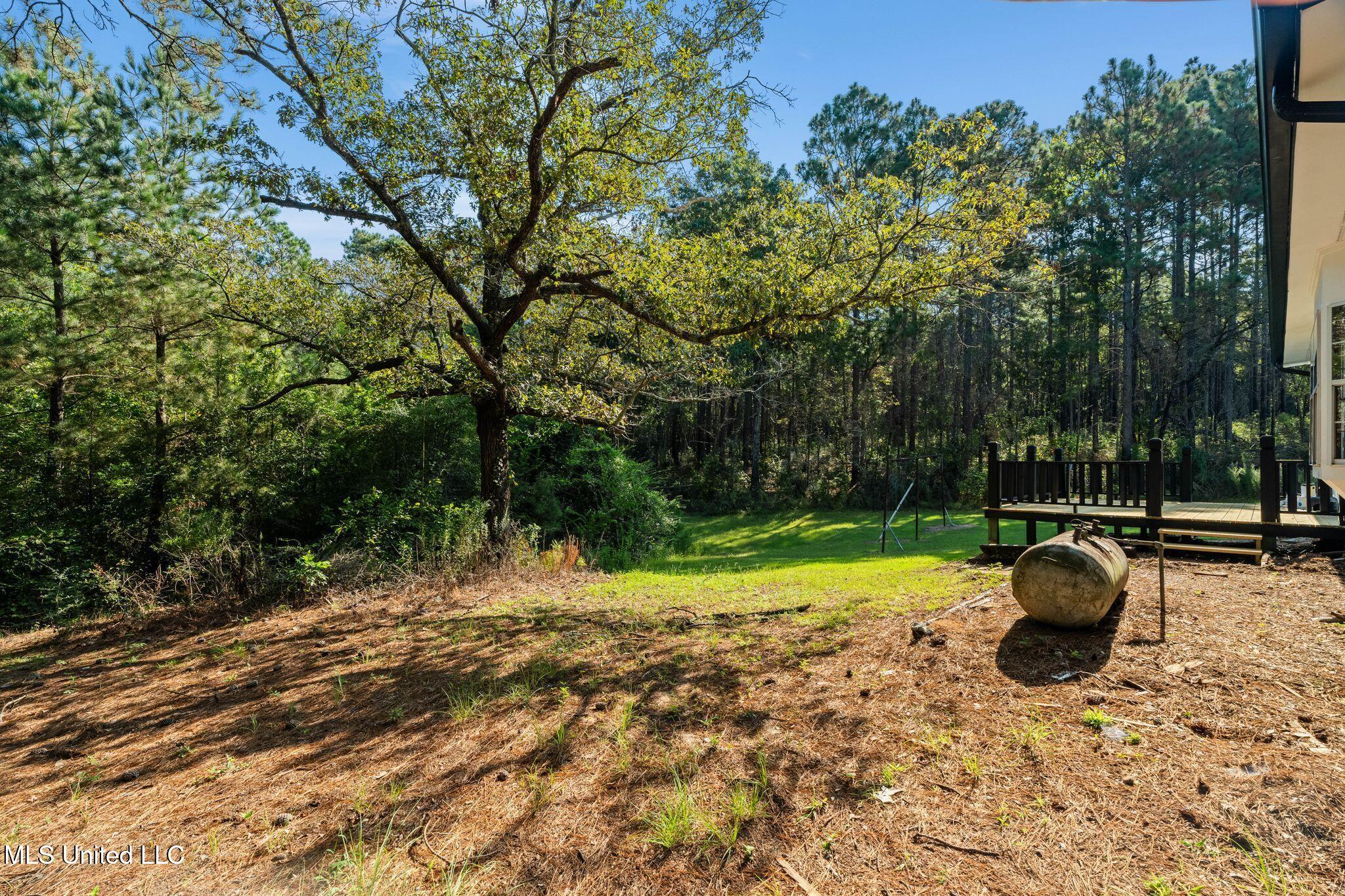 2225 Columbia Purvis Road Property Photo 34