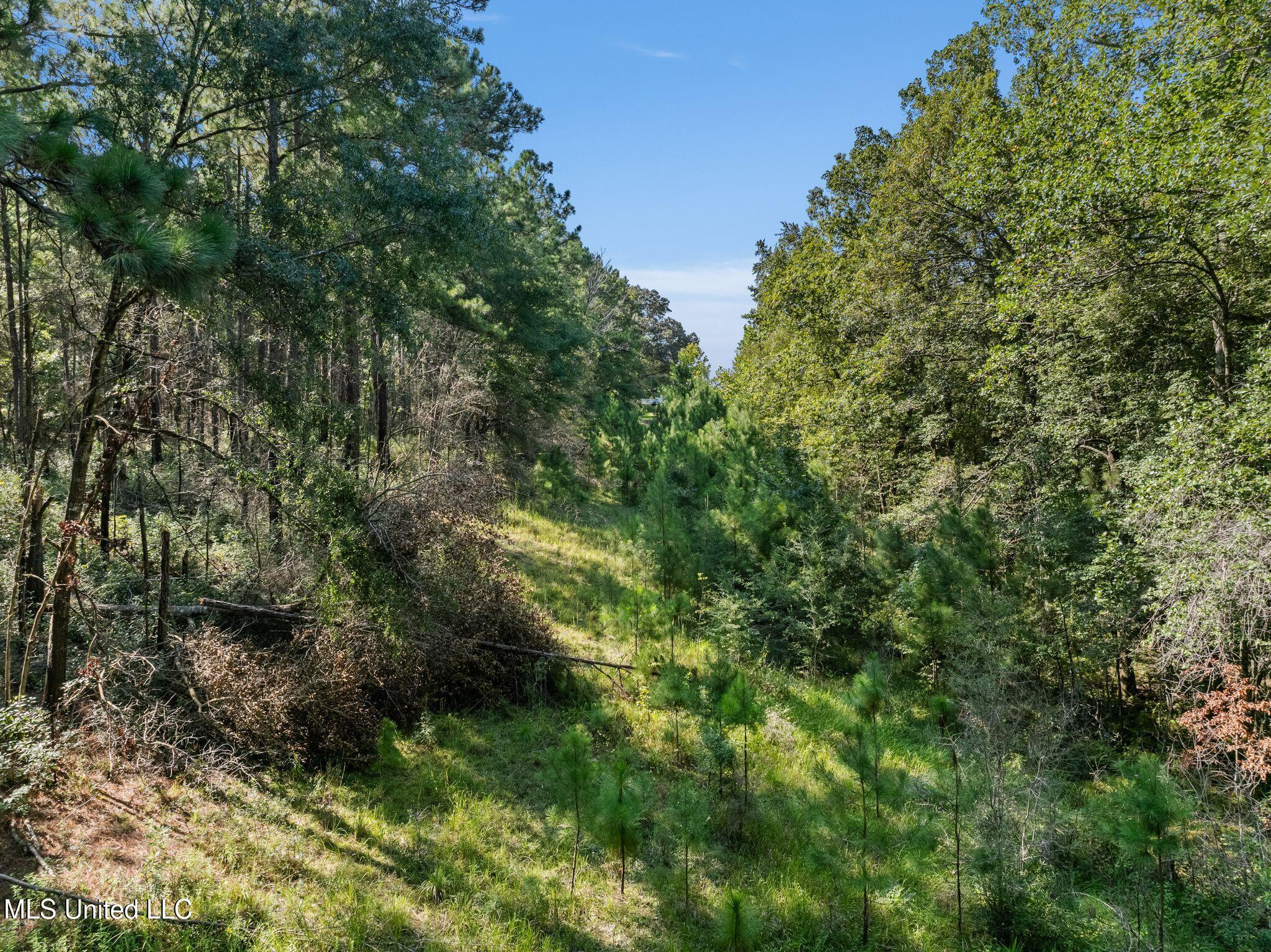2225 Columbia Purvis Road Property Photo 36