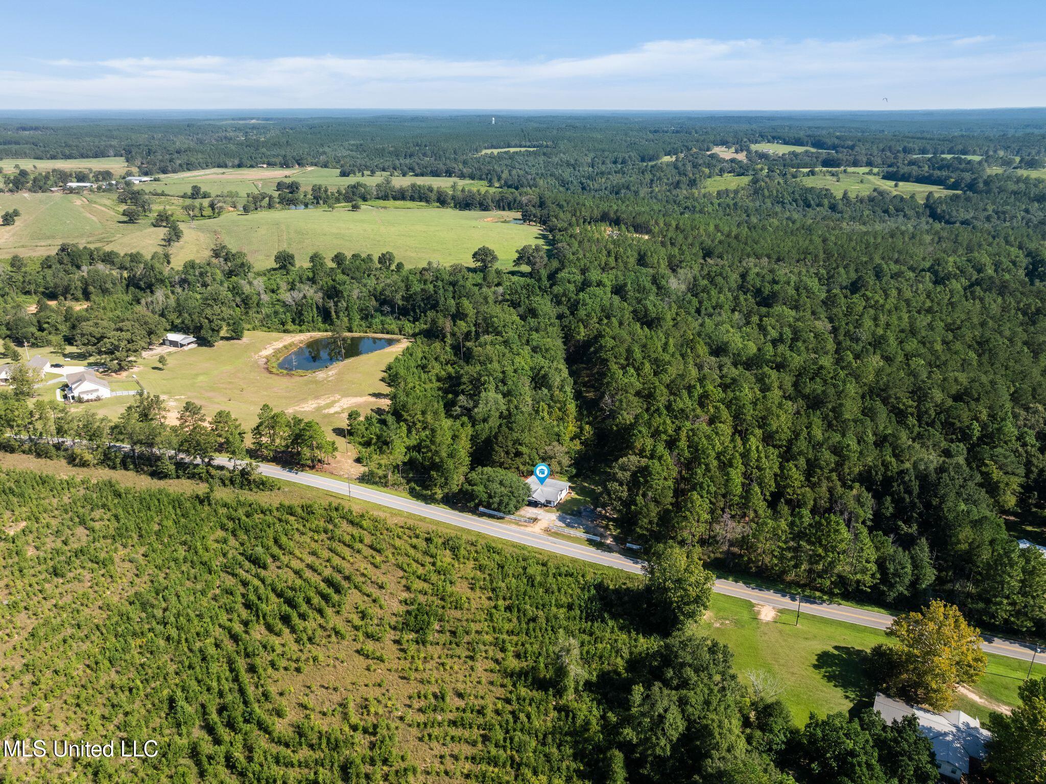 2225 Columbia Purvis Road Property Photo 38