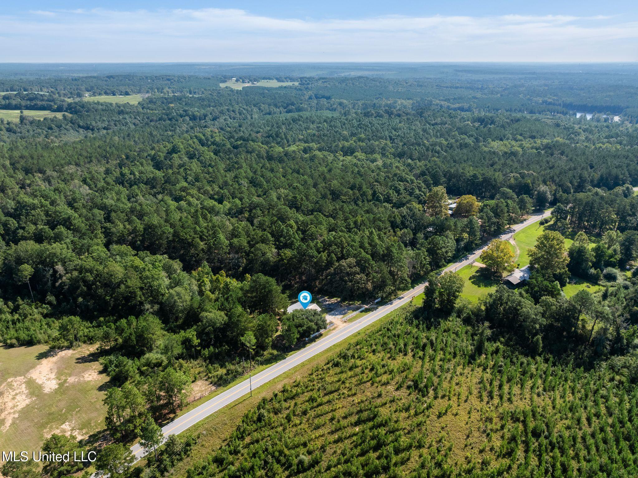 2225 Columbia Purvis Road Property Photo 39