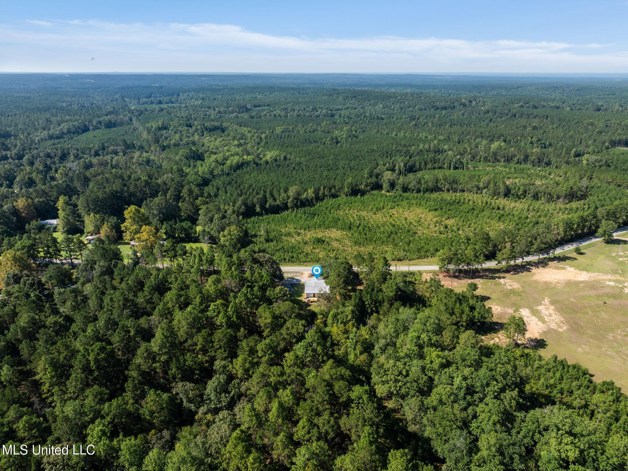 2225 Columbia Purvis Road Property Photo 40