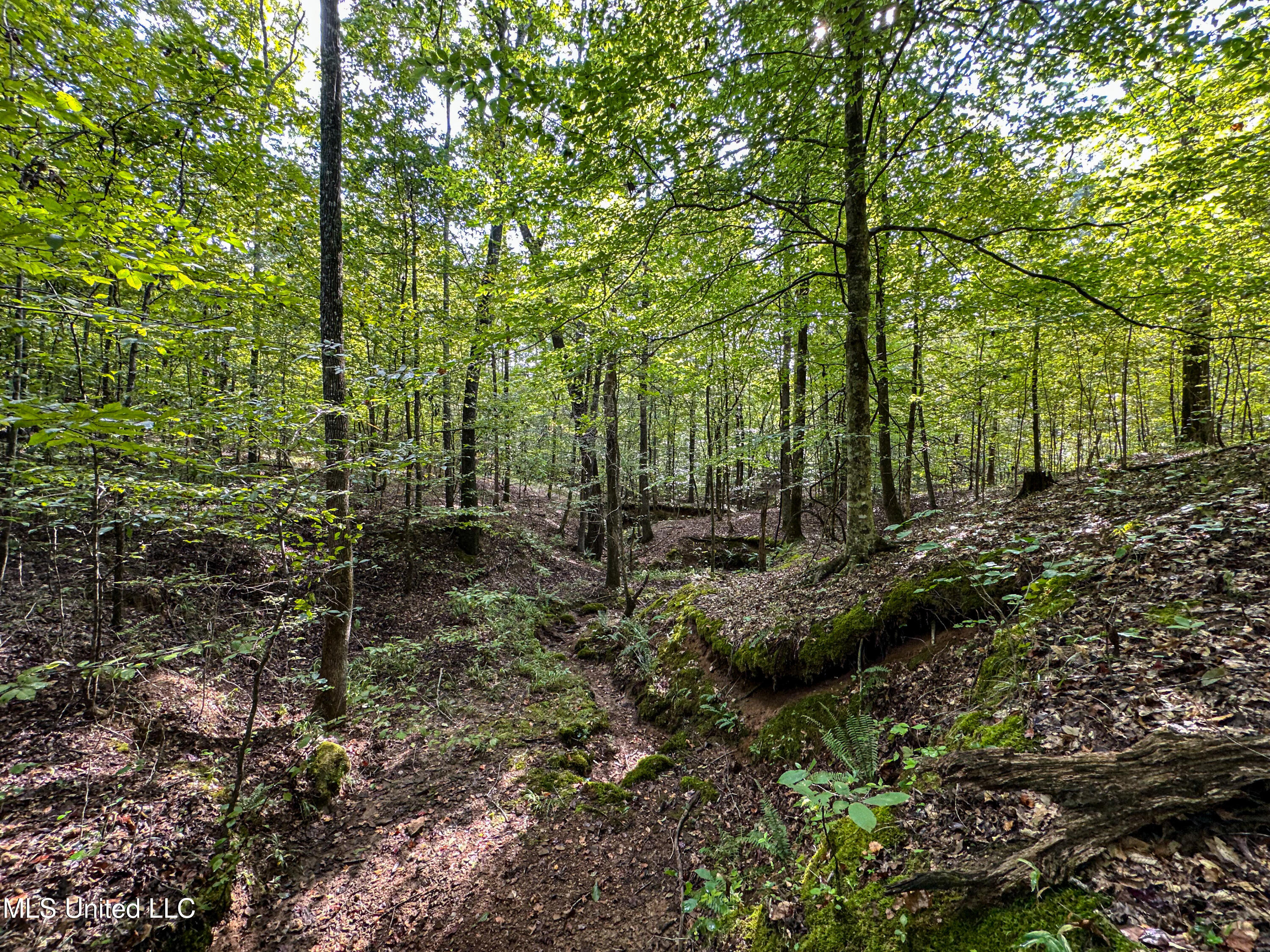 01 Highway 82 Property Photo 4