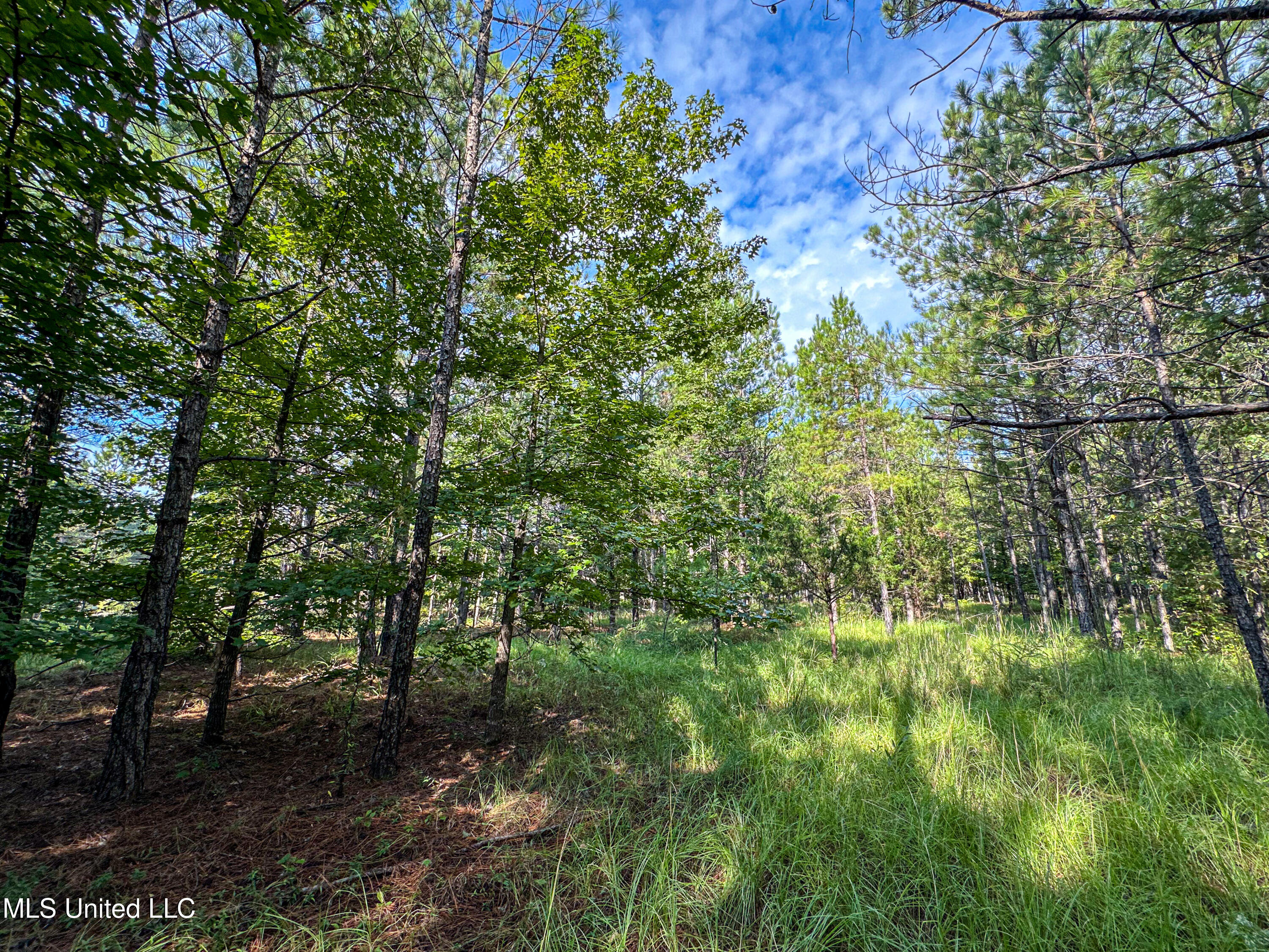 01 Highway 82 Property Photo 8