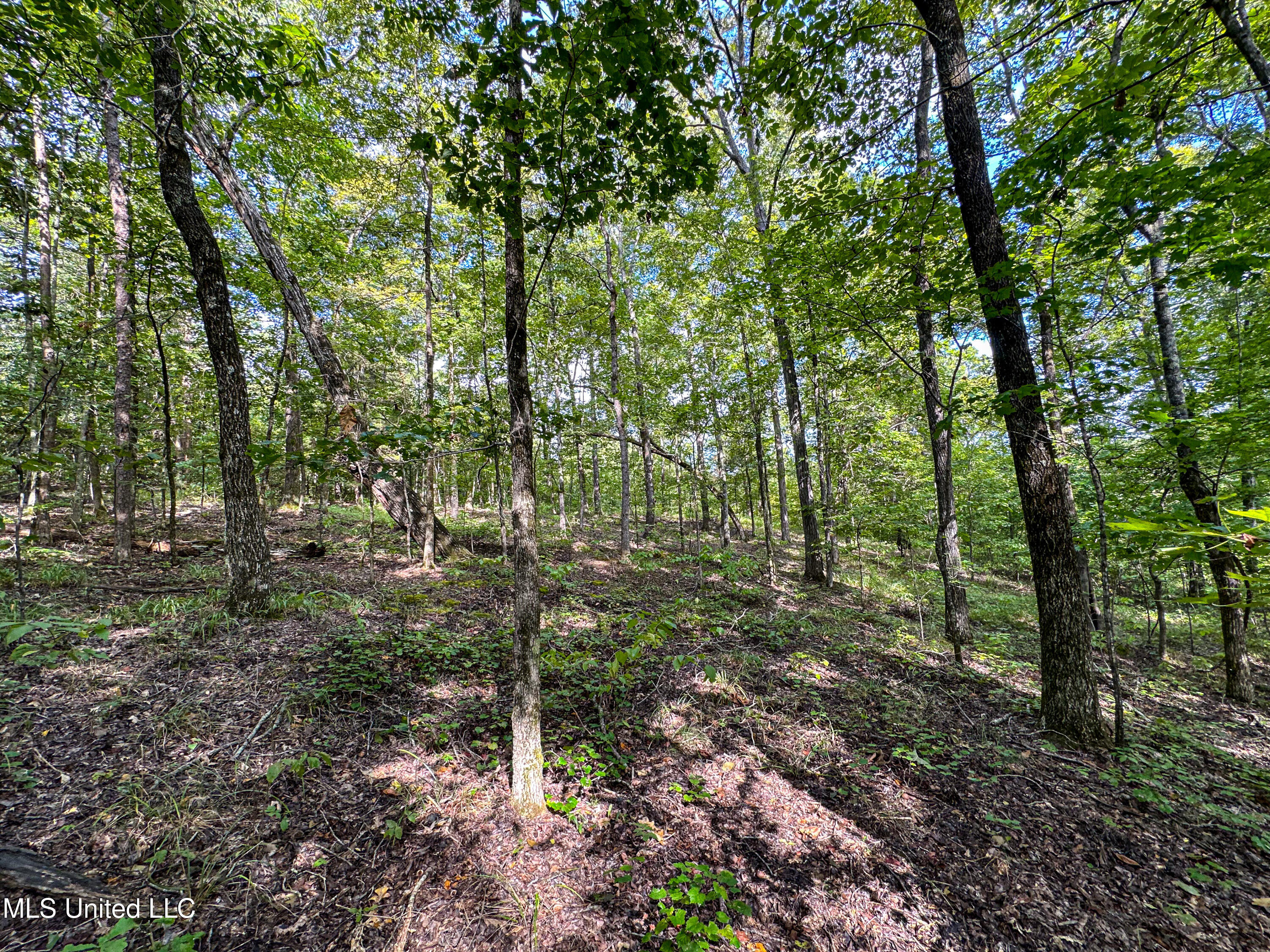 01 Highway 82 Property Photo 9