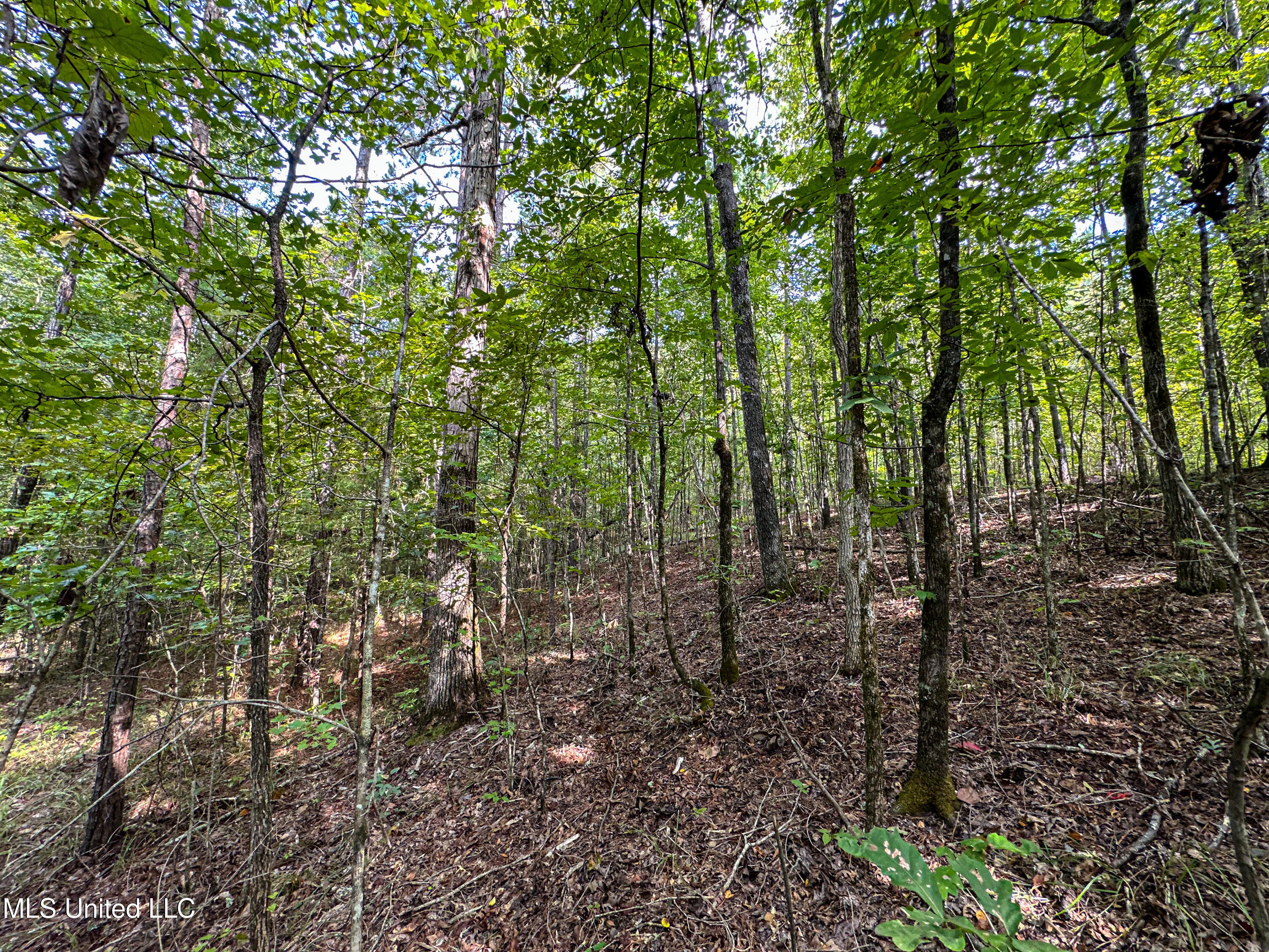 01 Highway 82 Property Photo 16