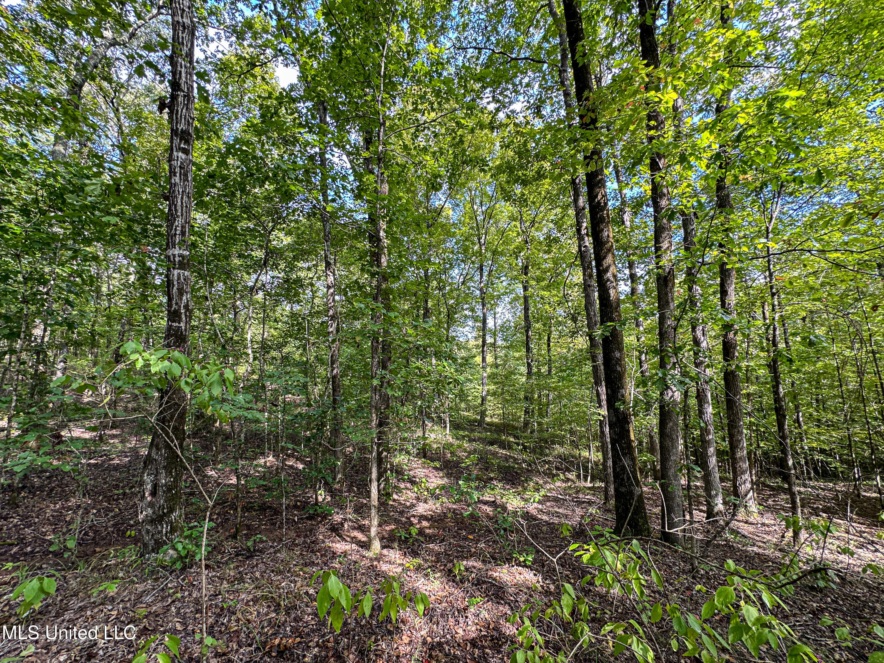 01 Highway 82 Property Photo 18