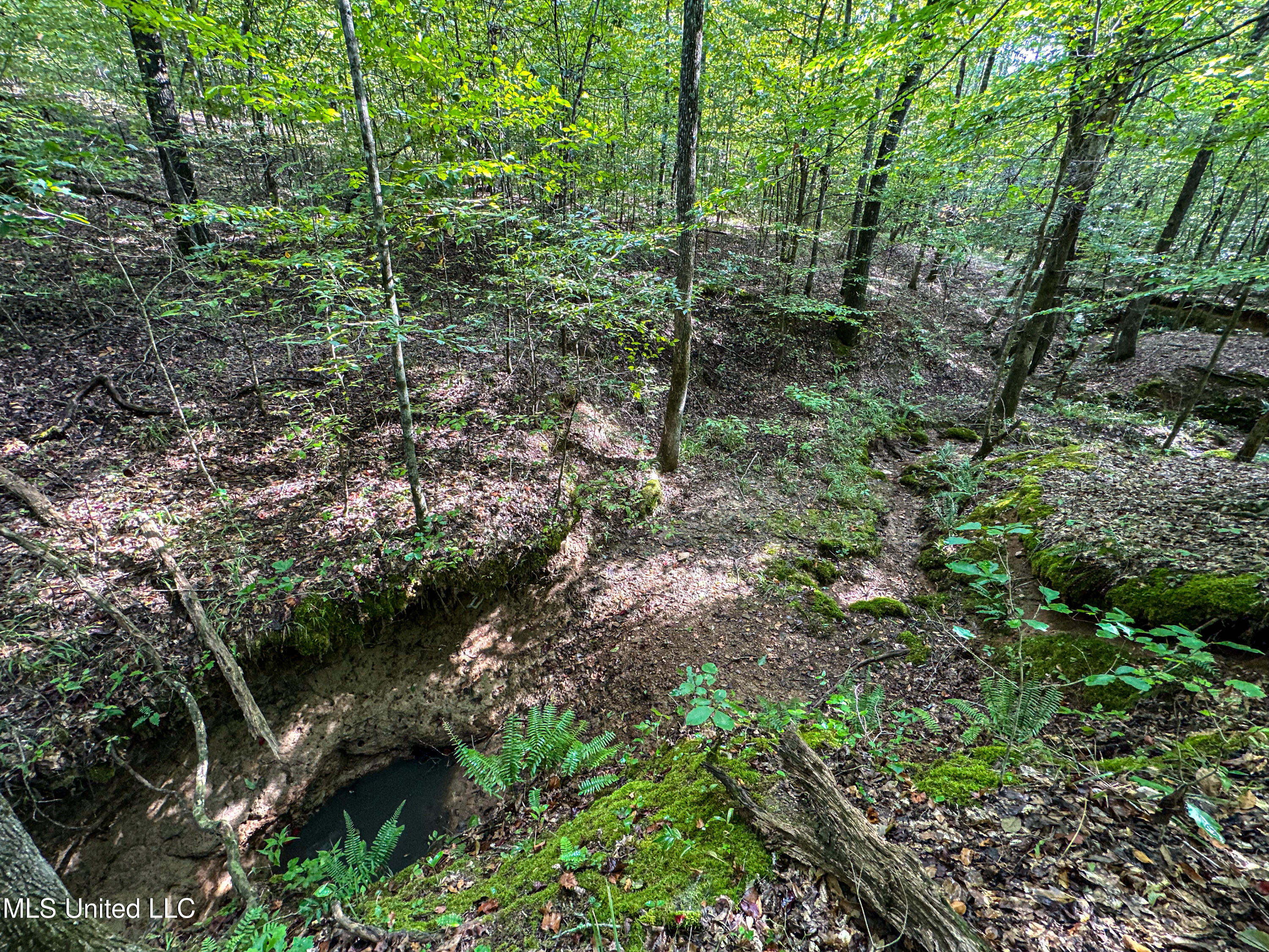 01 Highway 82 Property Photo 20