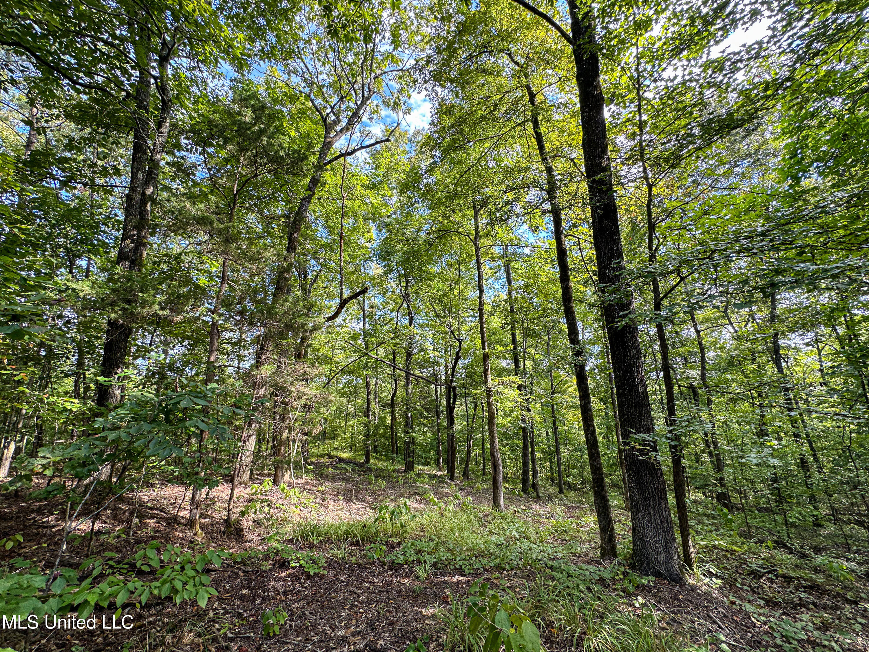 01 Highway 82 Property Photo 21