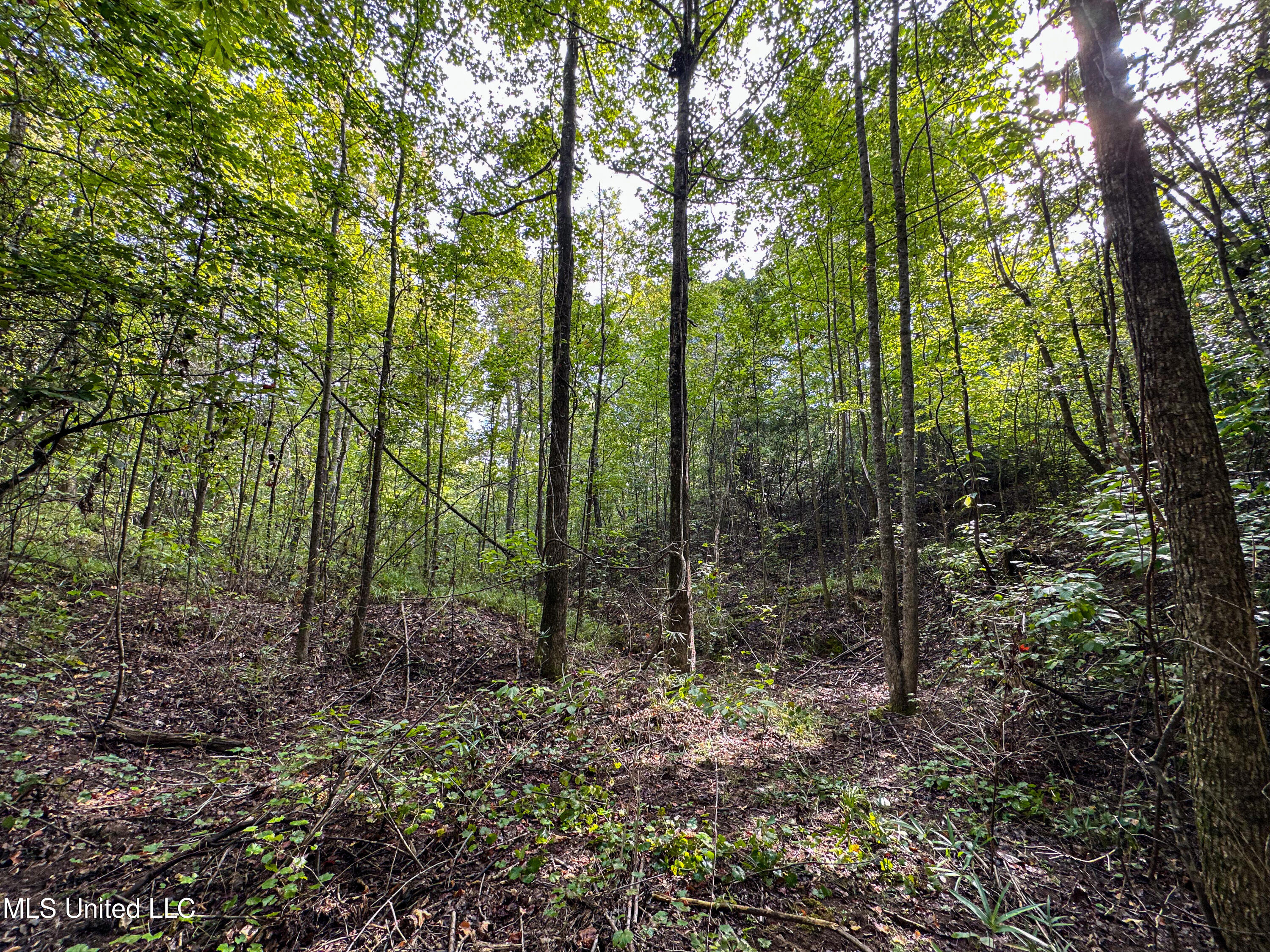 01 Highway 82 Property Photo 22