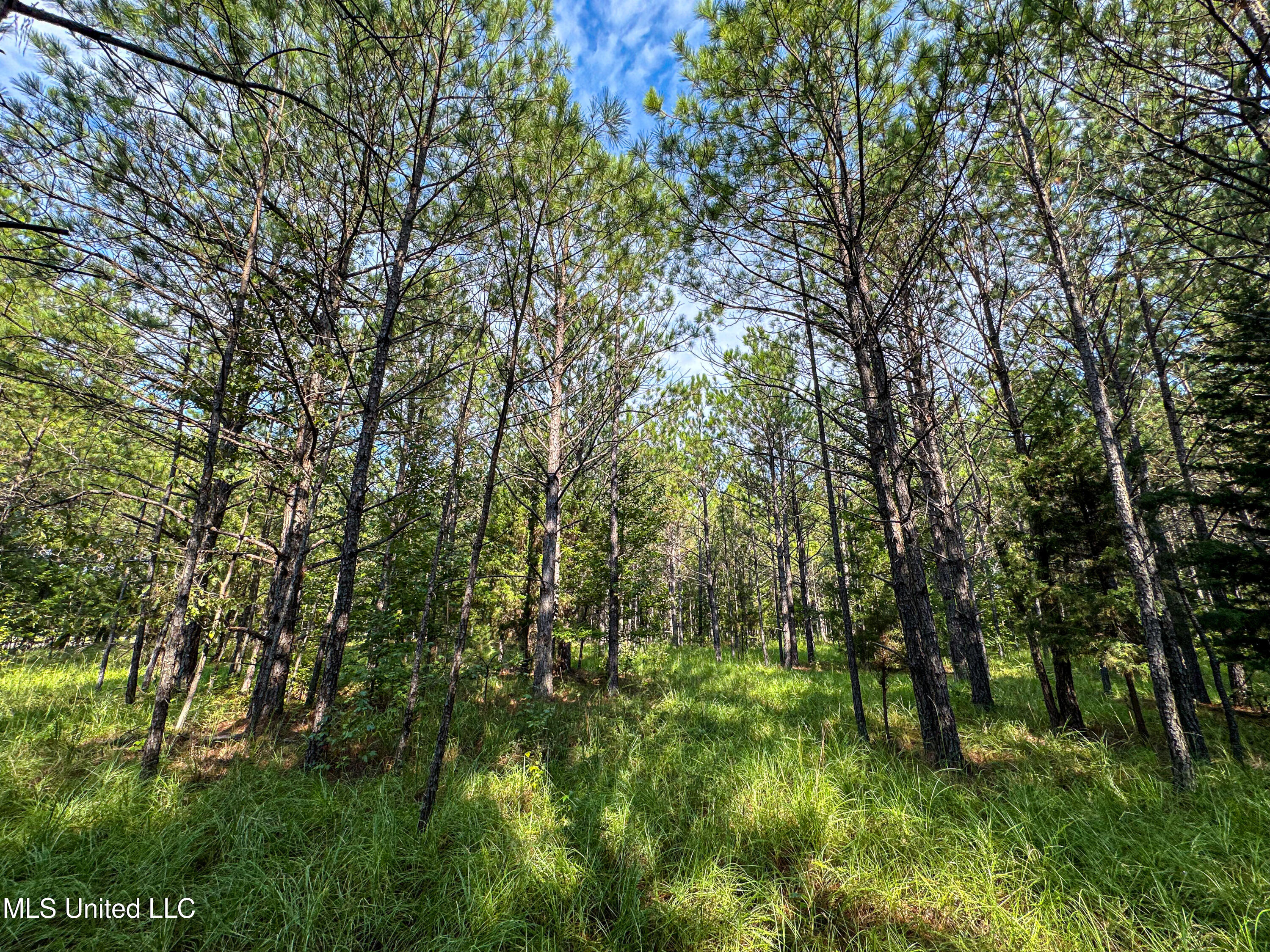 01 Highway 82 Property Photo 24