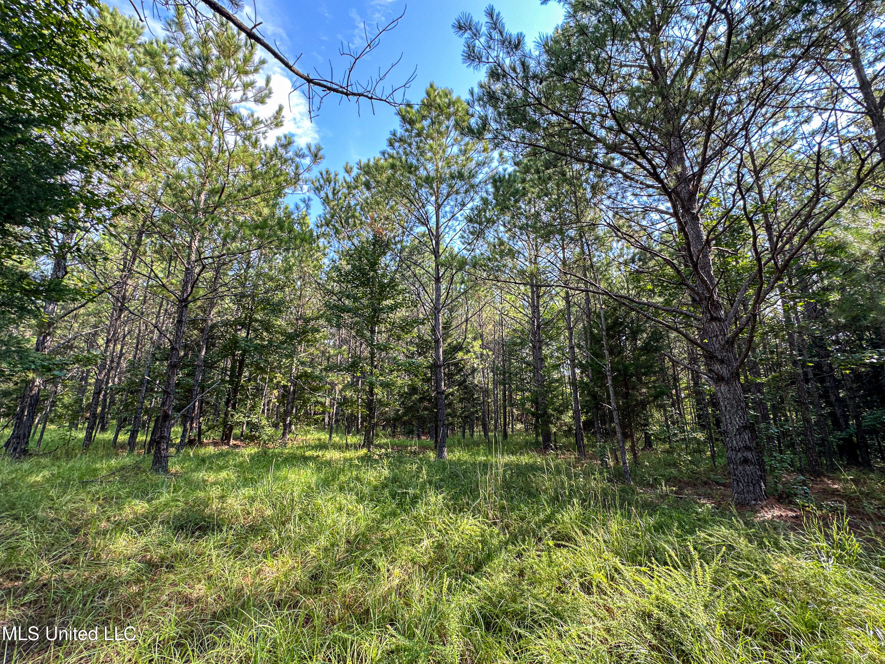 01 Highway 82 Property Photo 27